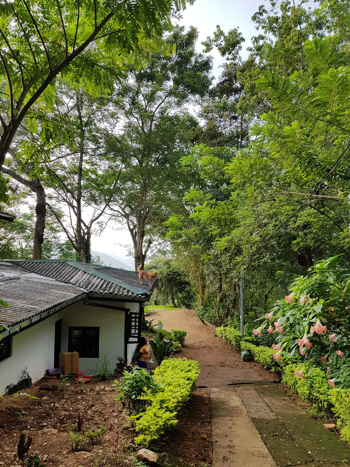 Welikande Villas Hotel