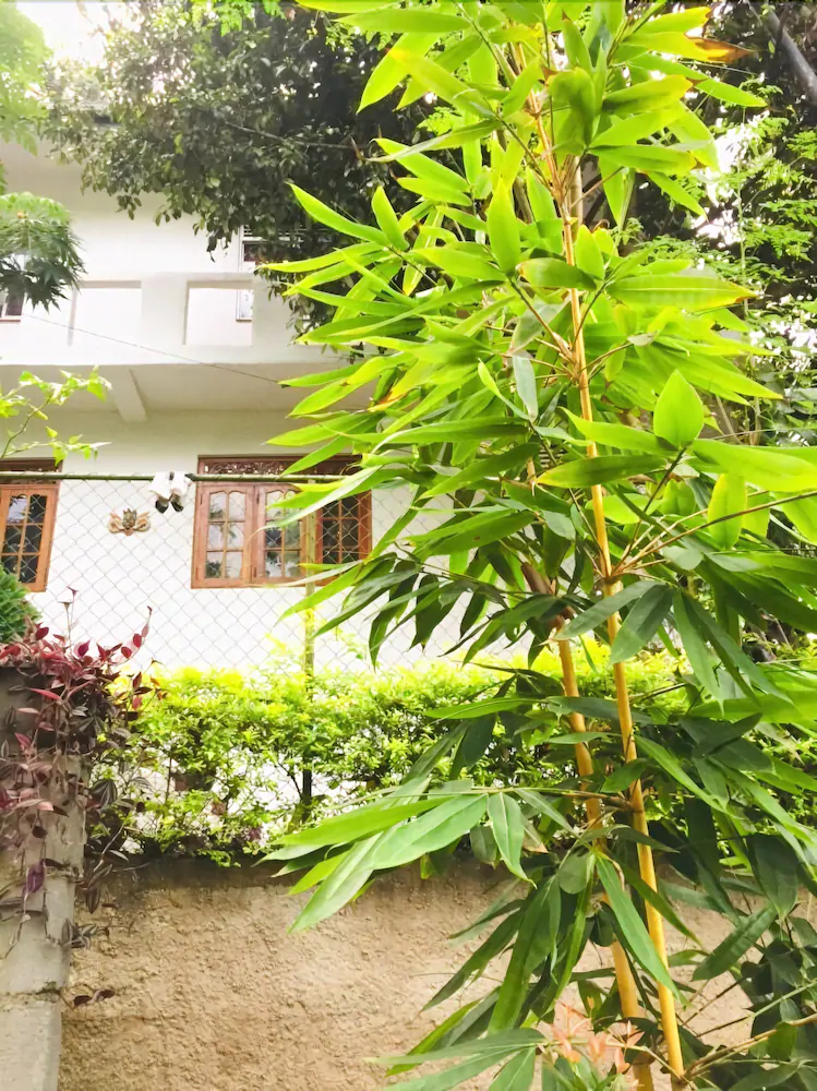 Toropi Homestay