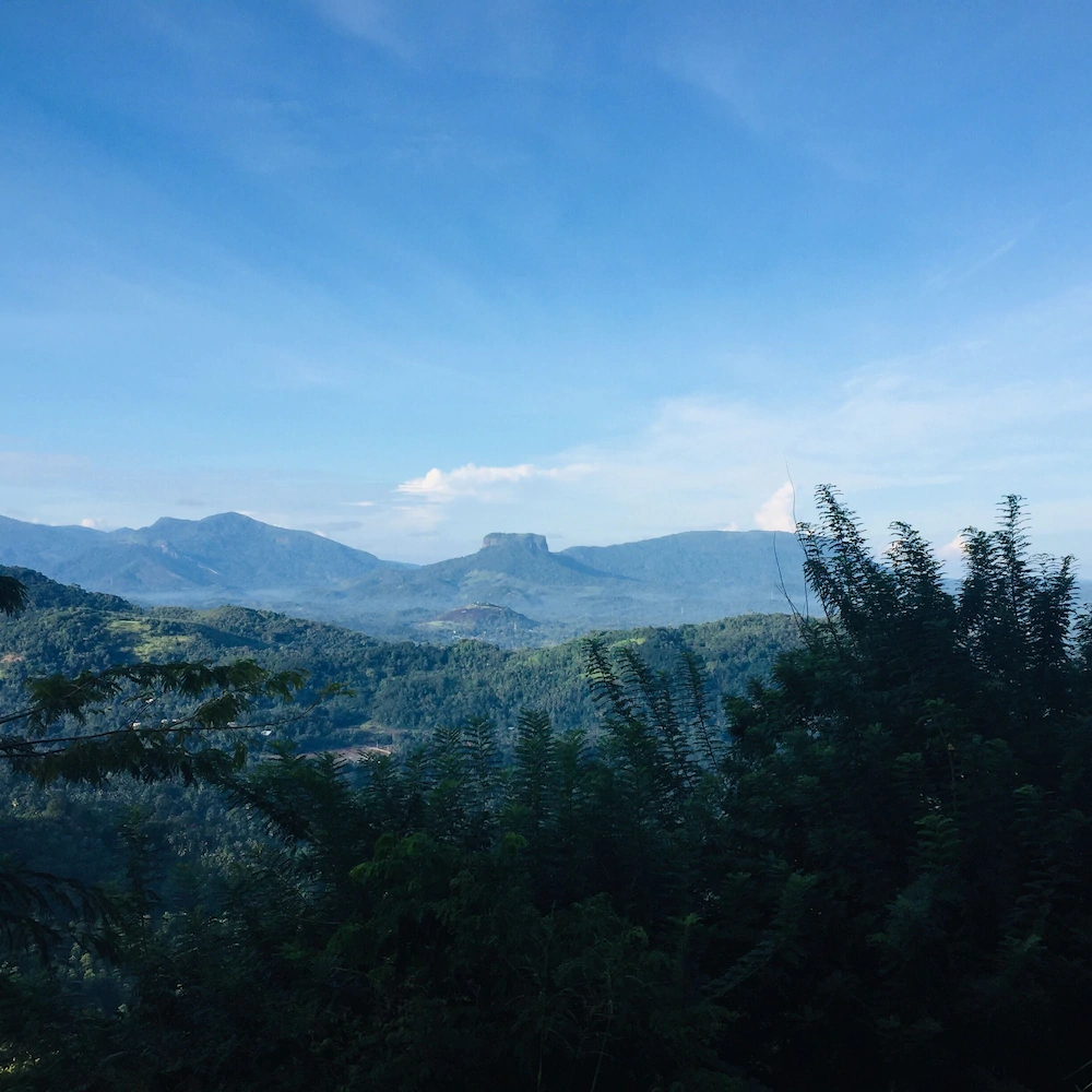 Toropi Homestay