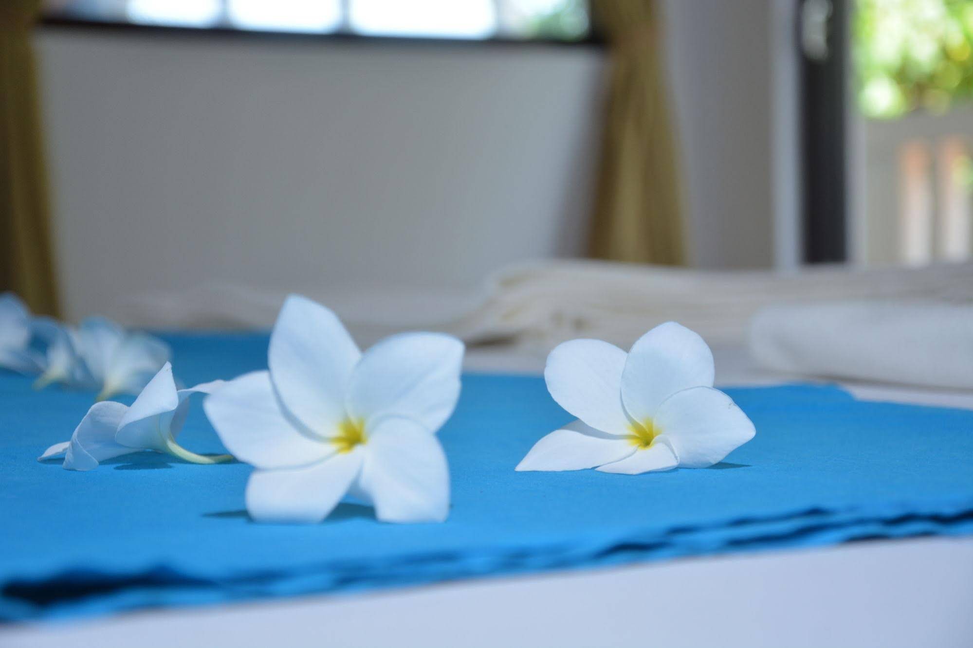 Blue Sky Beach Resorts