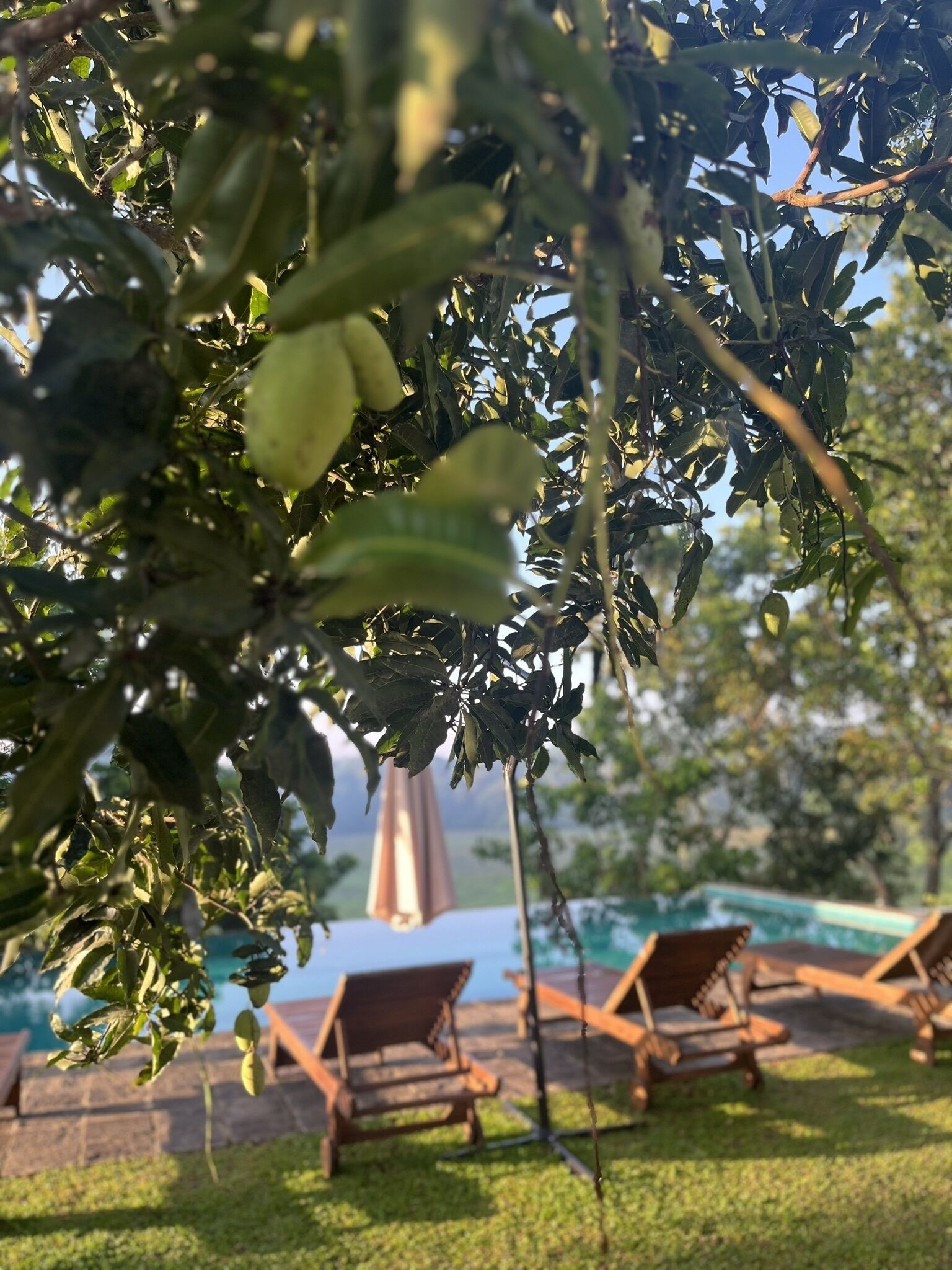 Samalanka Boutique Hotel