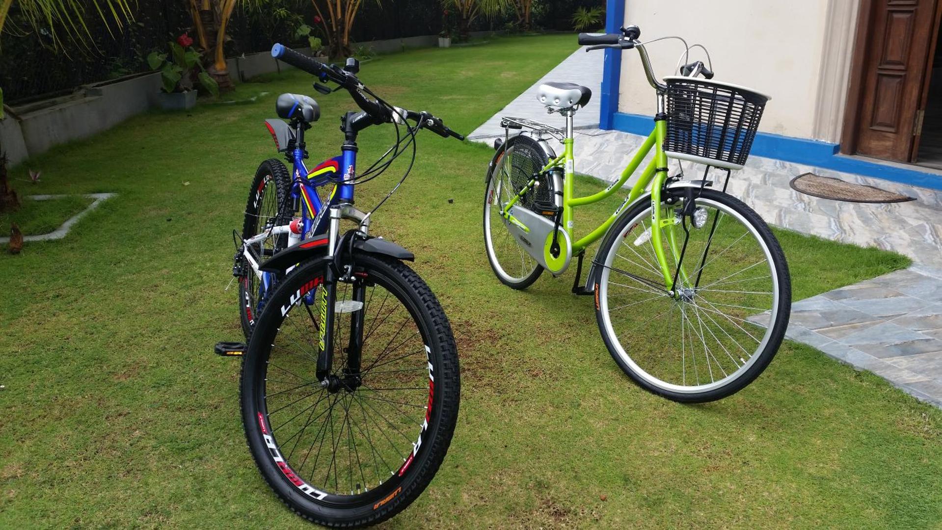 Dhammika Magic Palace