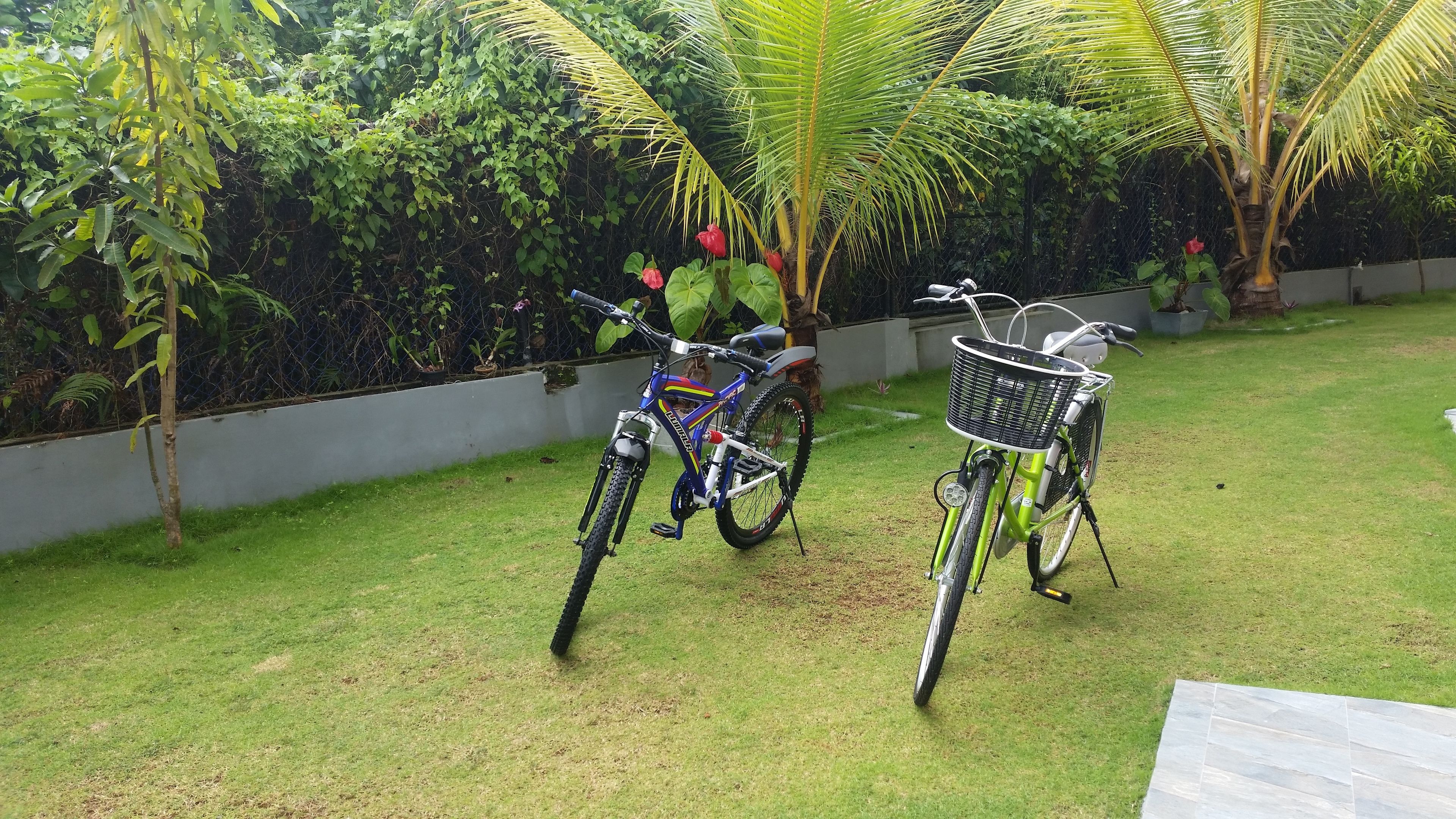 Dhammika Magic Palace