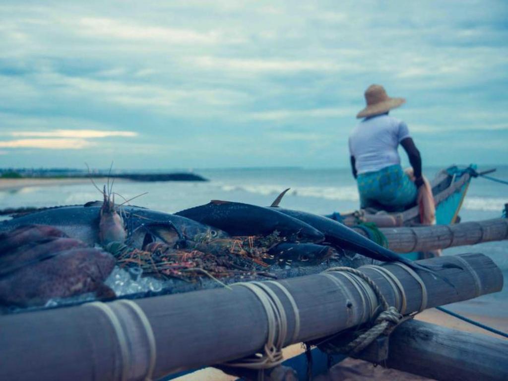 Ranweli Holiday Village