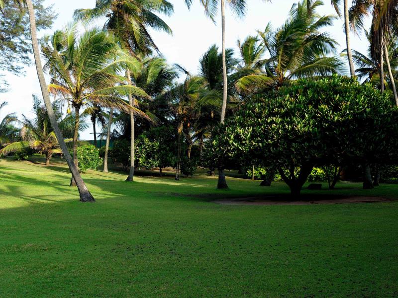 Palm Village