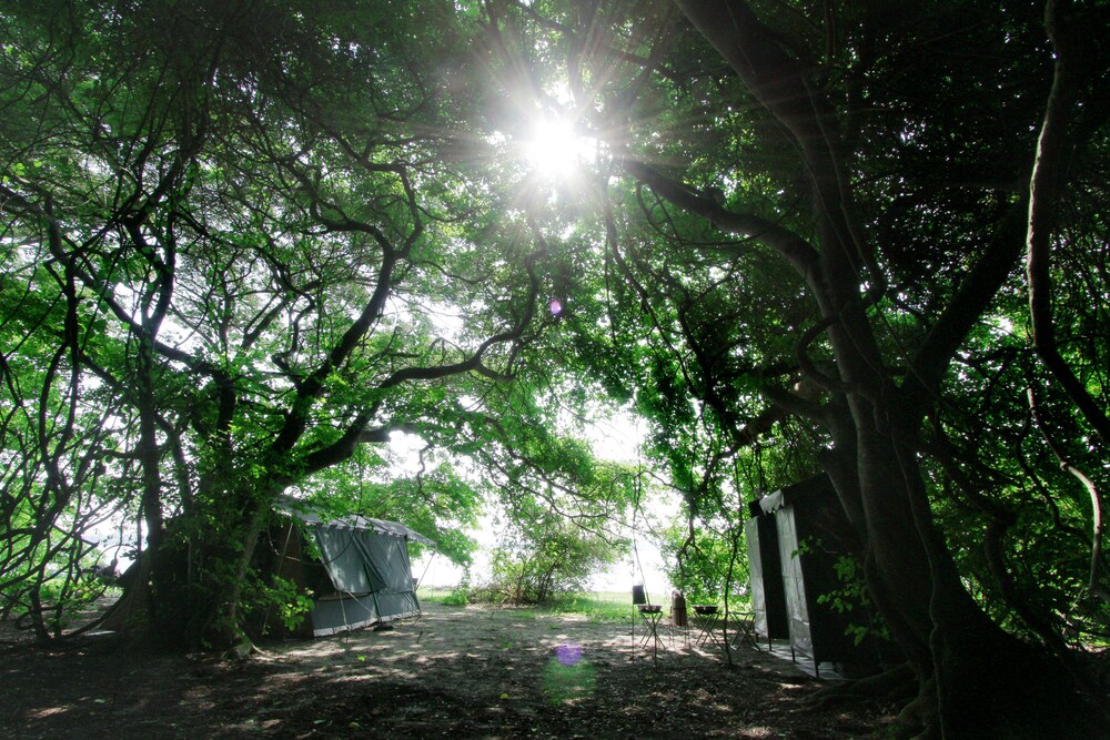The Yala Camping