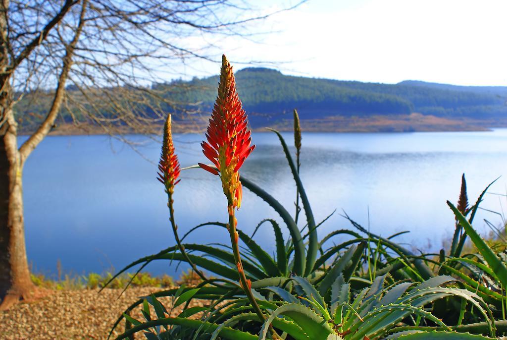 Mohale Lodge