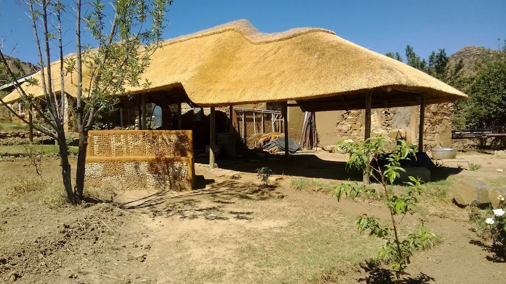 Lapeng Ha Mamosa