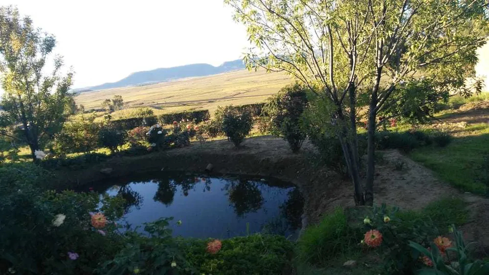 Lapeng Ha Mamosa