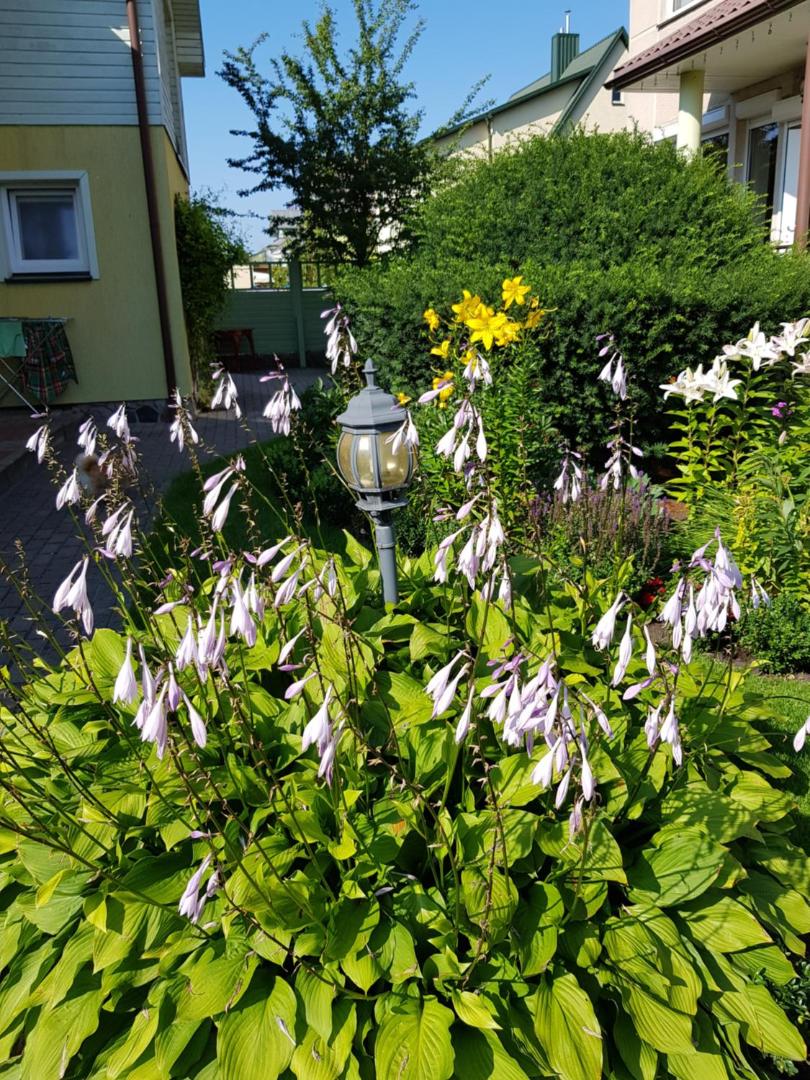 Vila Florena Garden