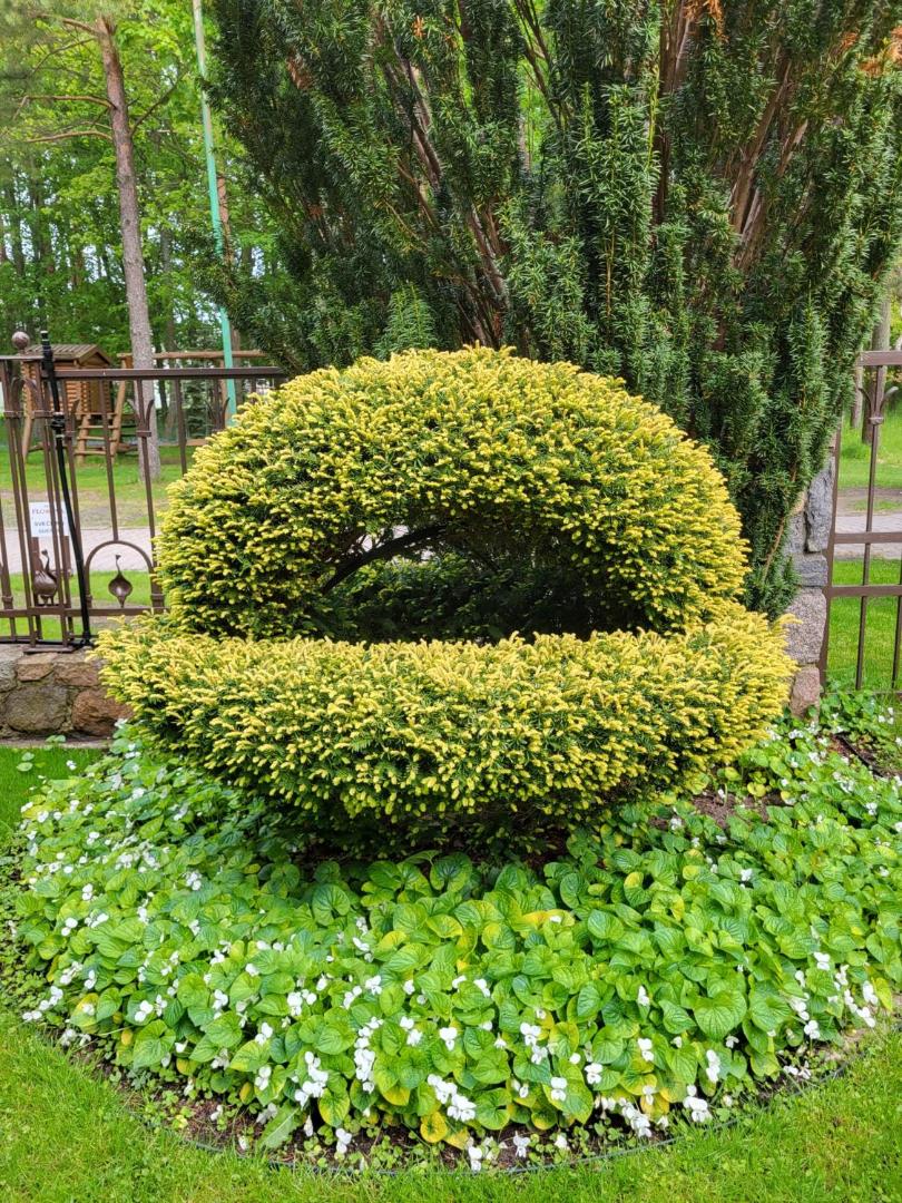 Vila Florena Garden
