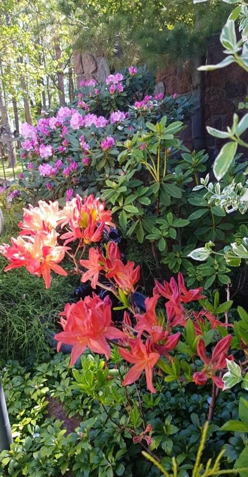 Vila Florena Garden