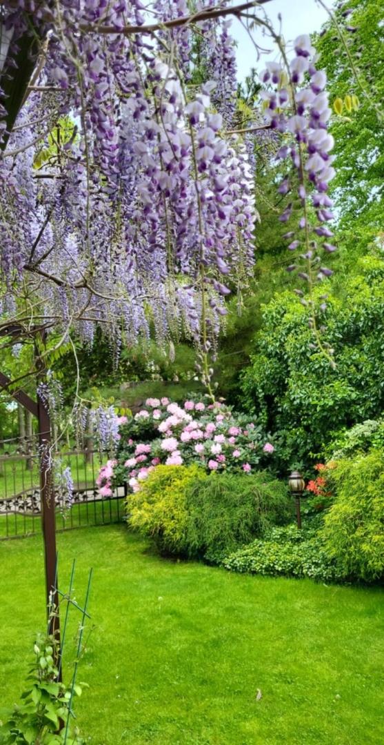Vila Florena Garden
