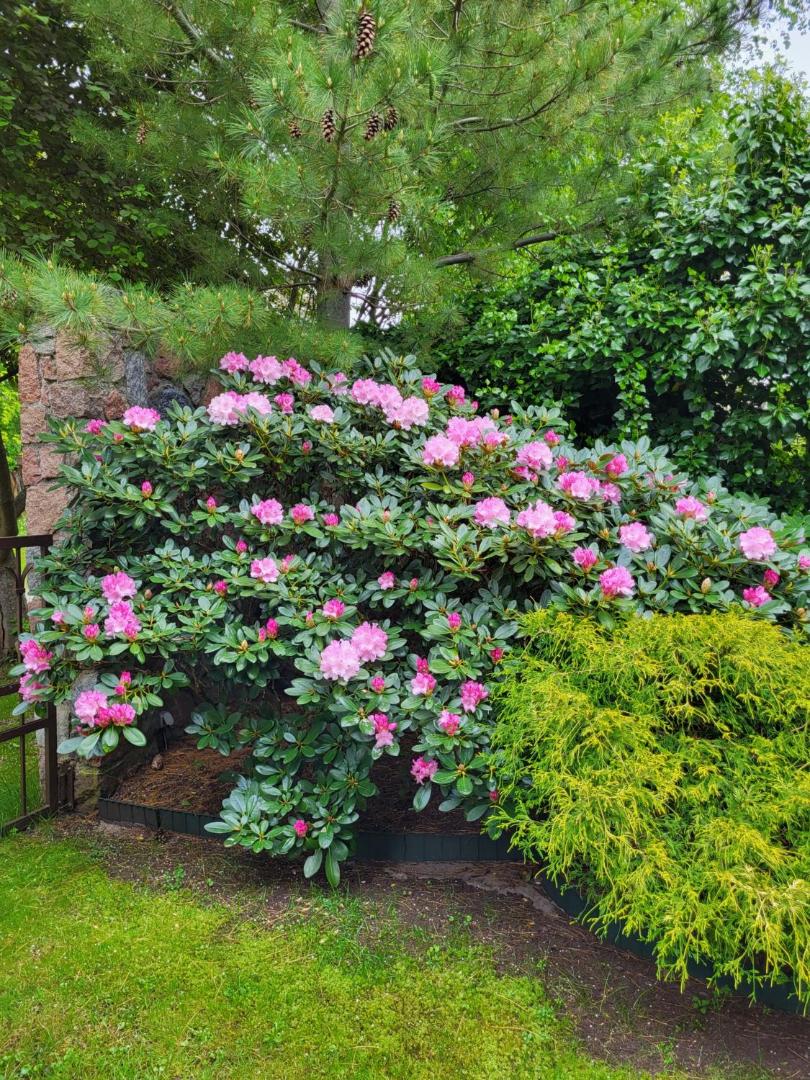 Vila Florena Garden