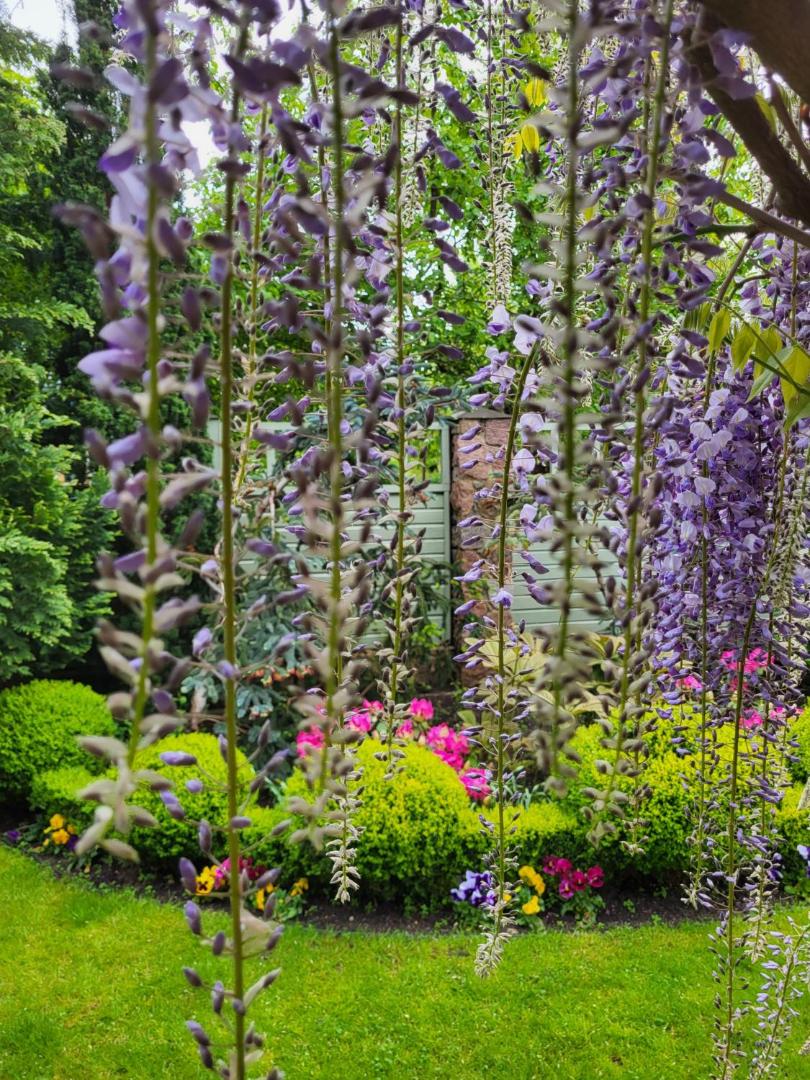 Vila Florena Garden