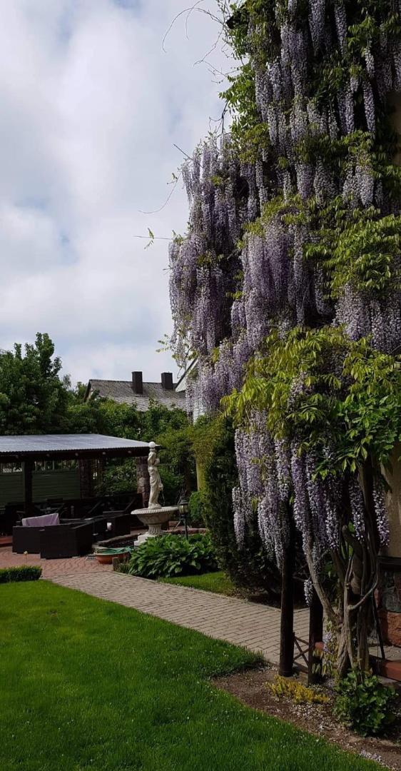 Vila Florena Garden