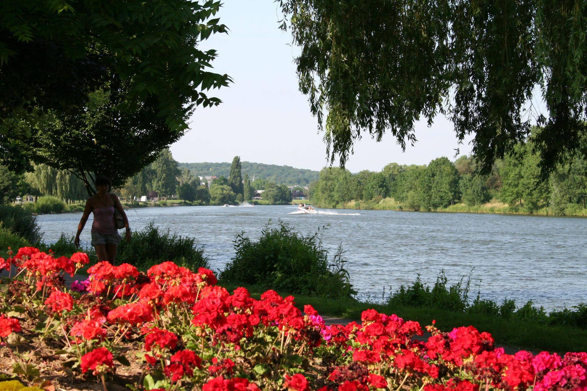 Domaine La Foret