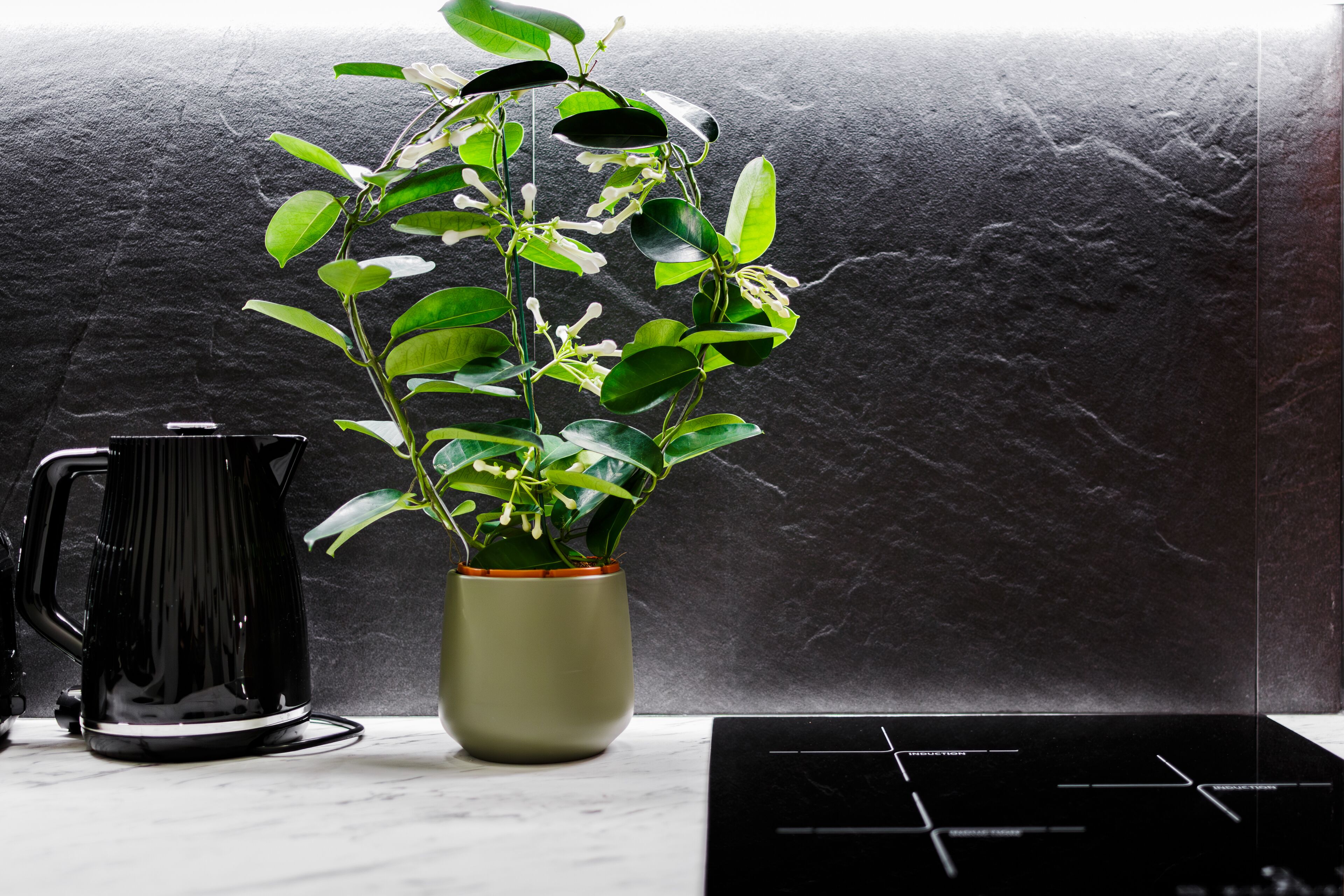 RIGAAPARTMENT ELIZABETES 22 Self-Service Aparthotel