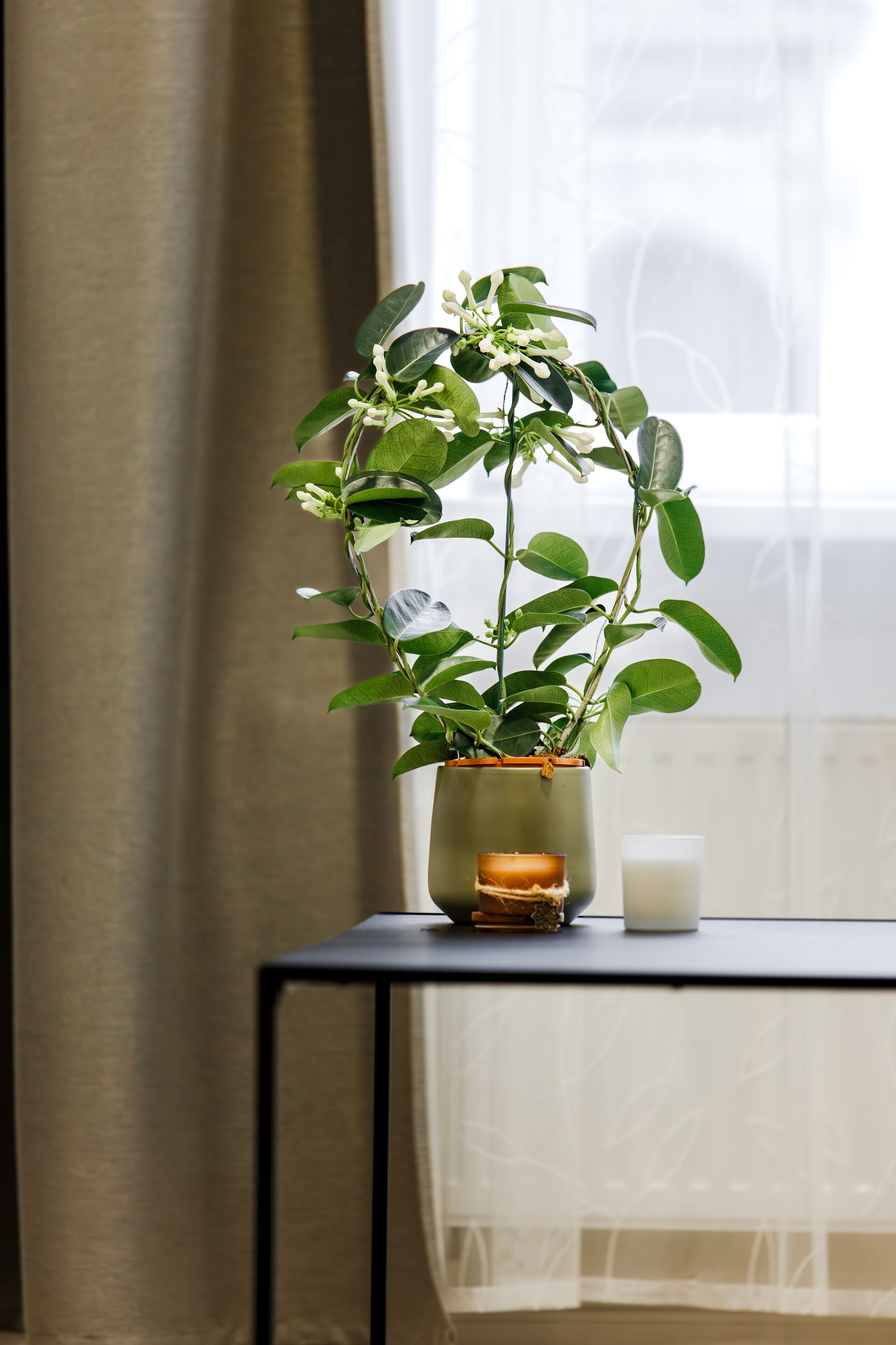 RIGAAPARTMENT ELIZABETES 22 Self-Service Aparthotel