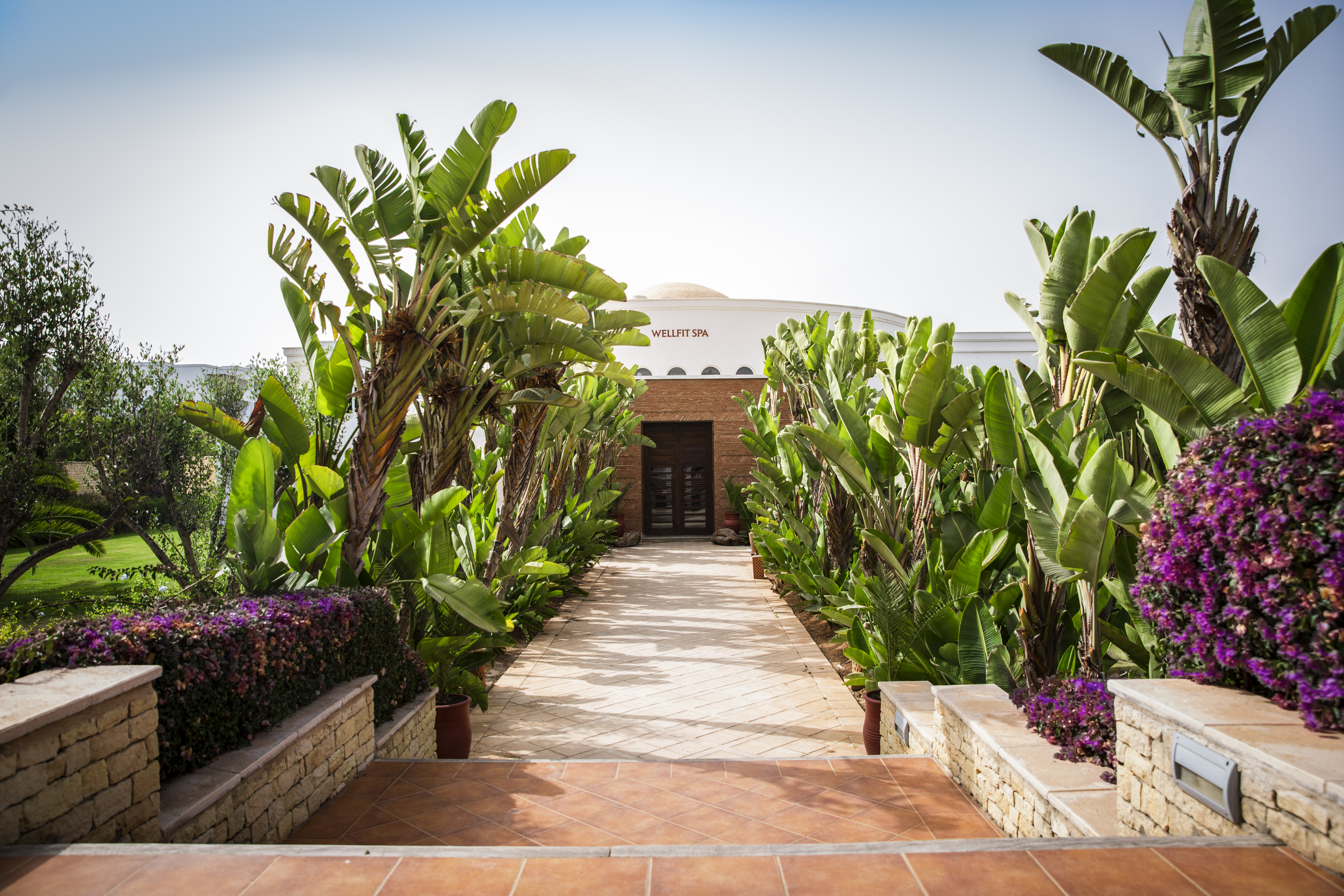 ROBINSON Agadir