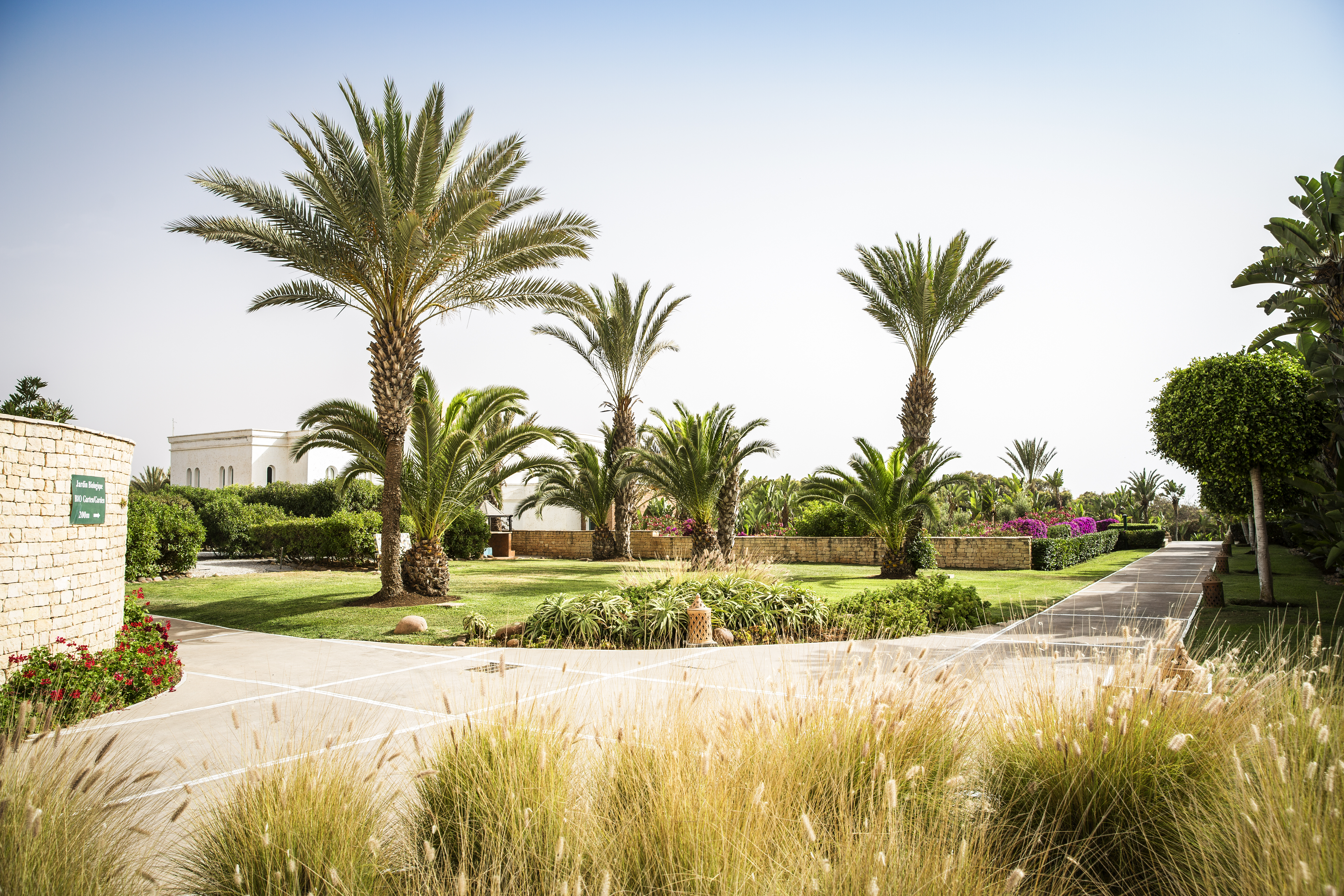 ROBINSON Agadir