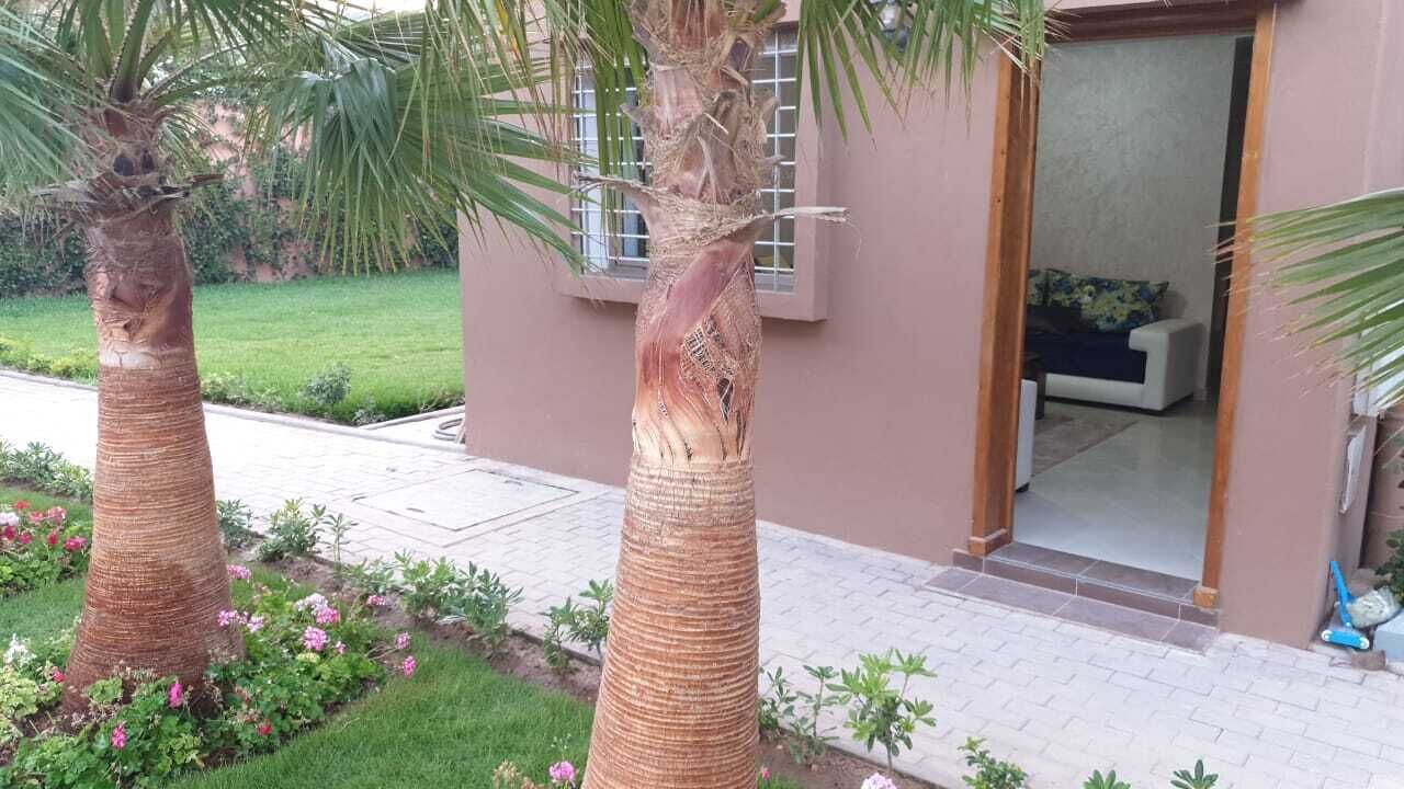 Tamraght House Banana
