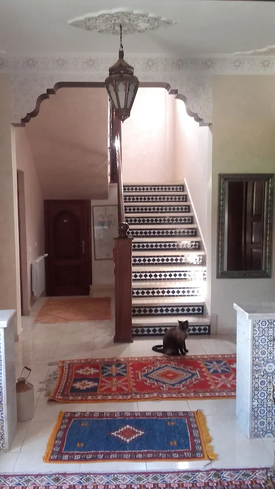 Riad Tanjil