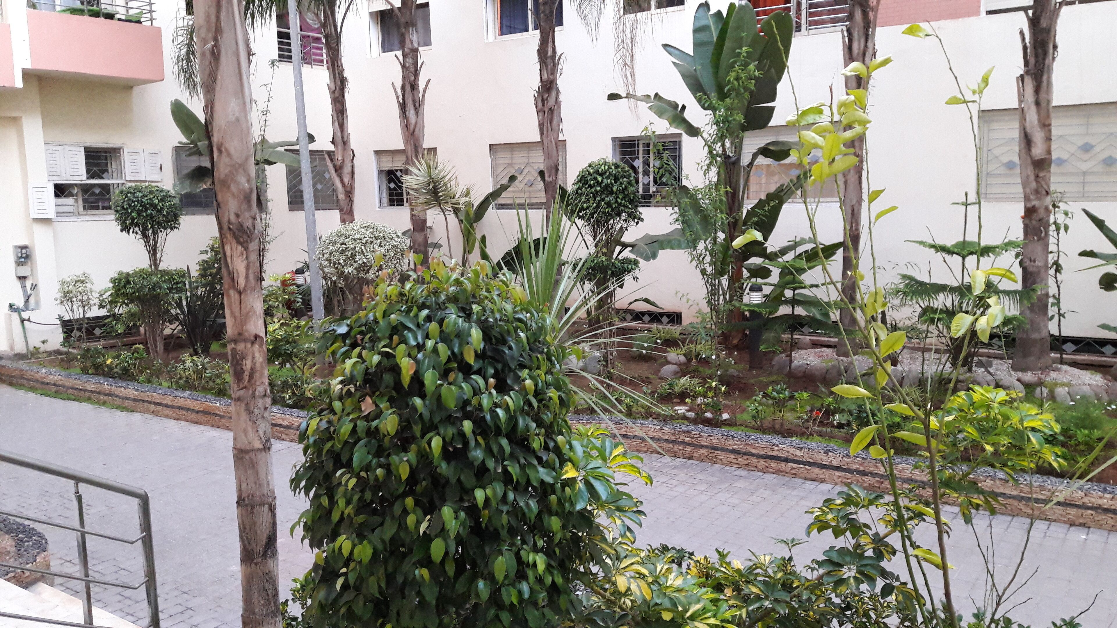 SweeTop Casablanca