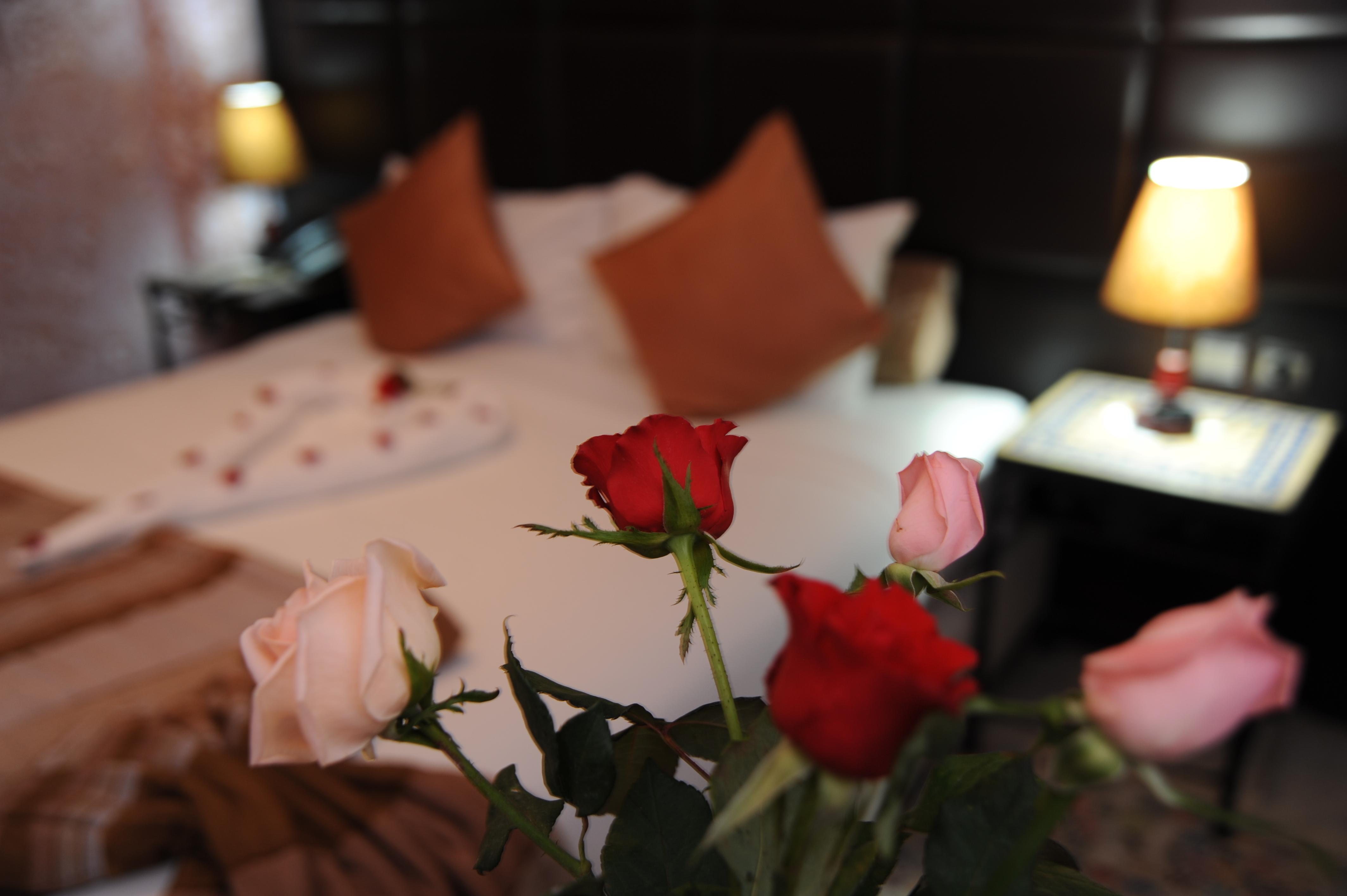 Al Jasira Hotel