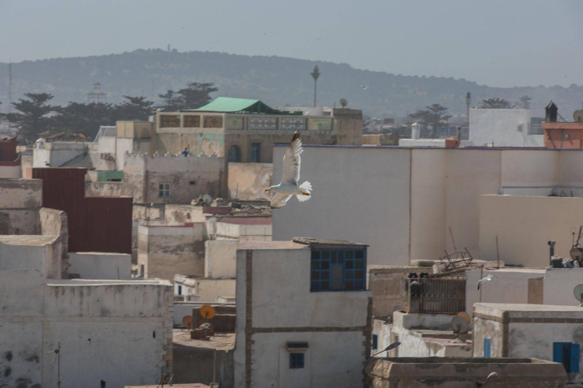 Dar Rahaothello