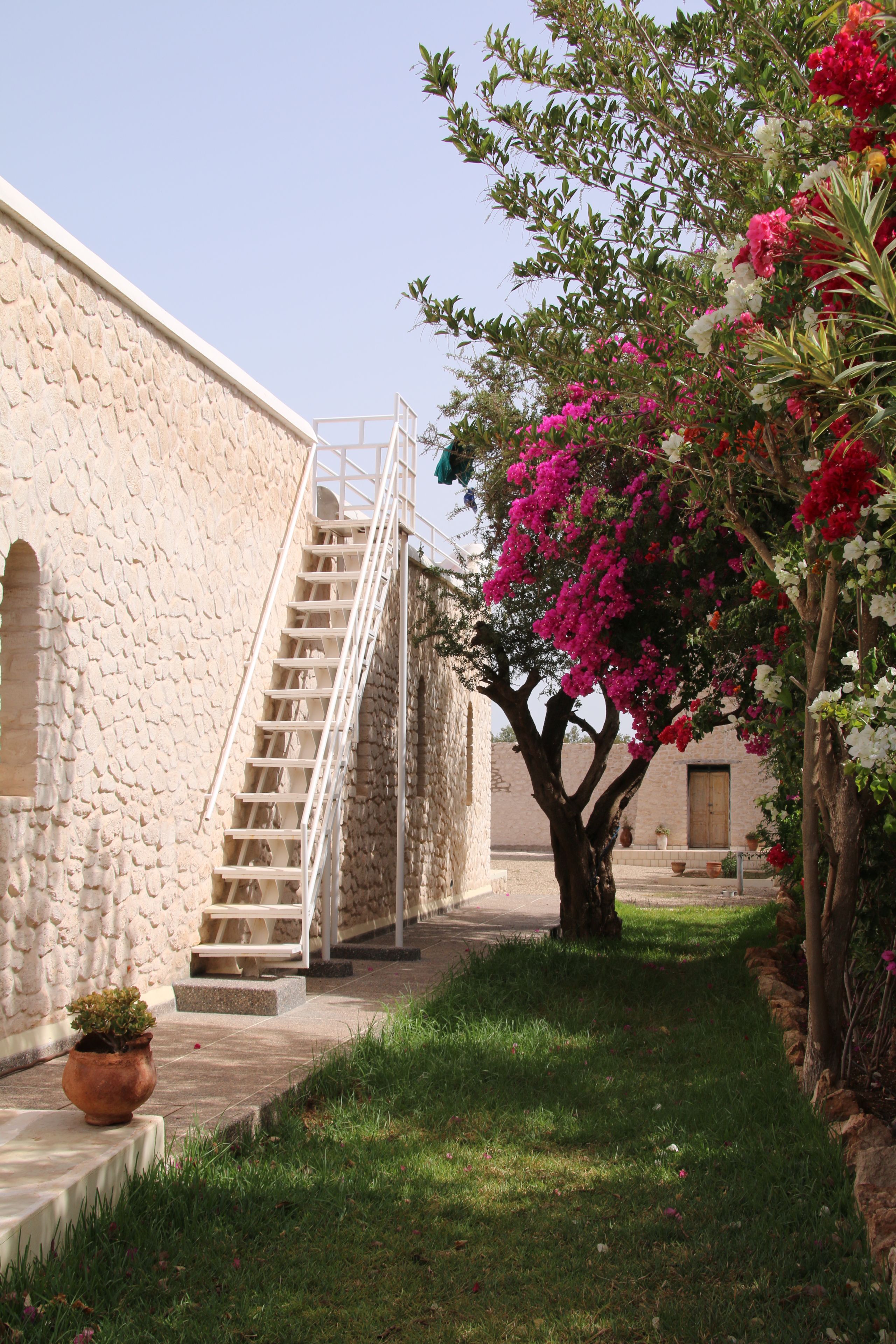 Dar Ti Janat