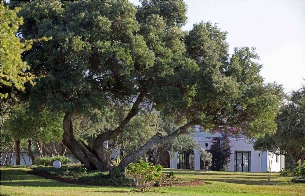 Domaine de l'Arganeraie