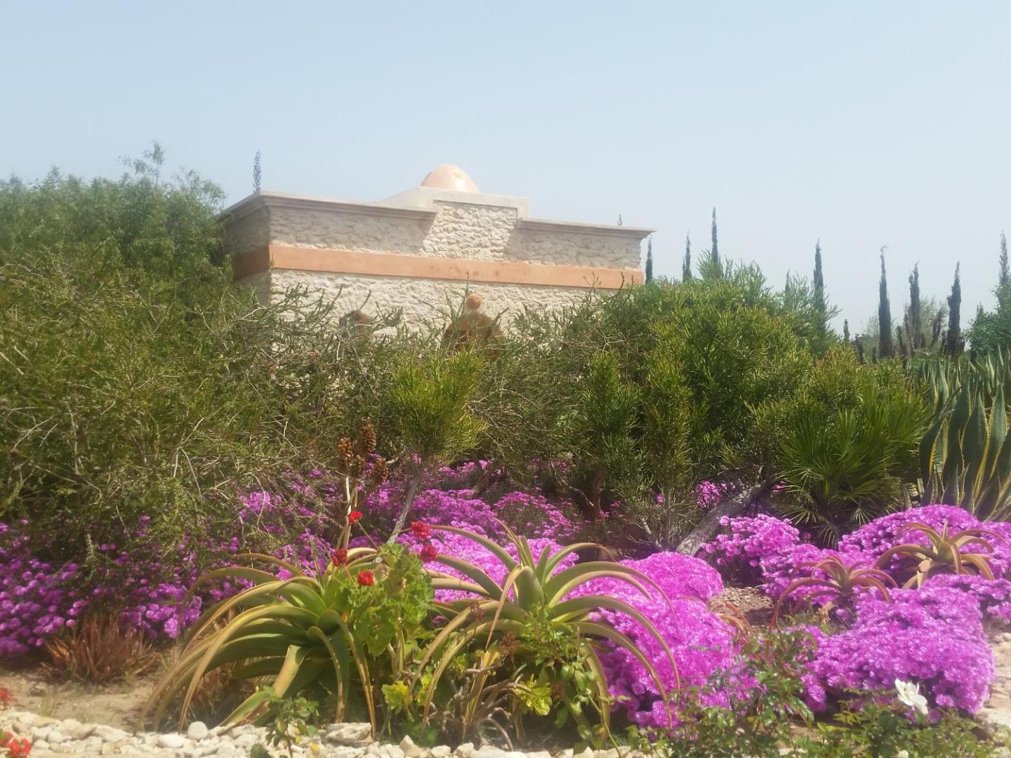 Douar Noujoum