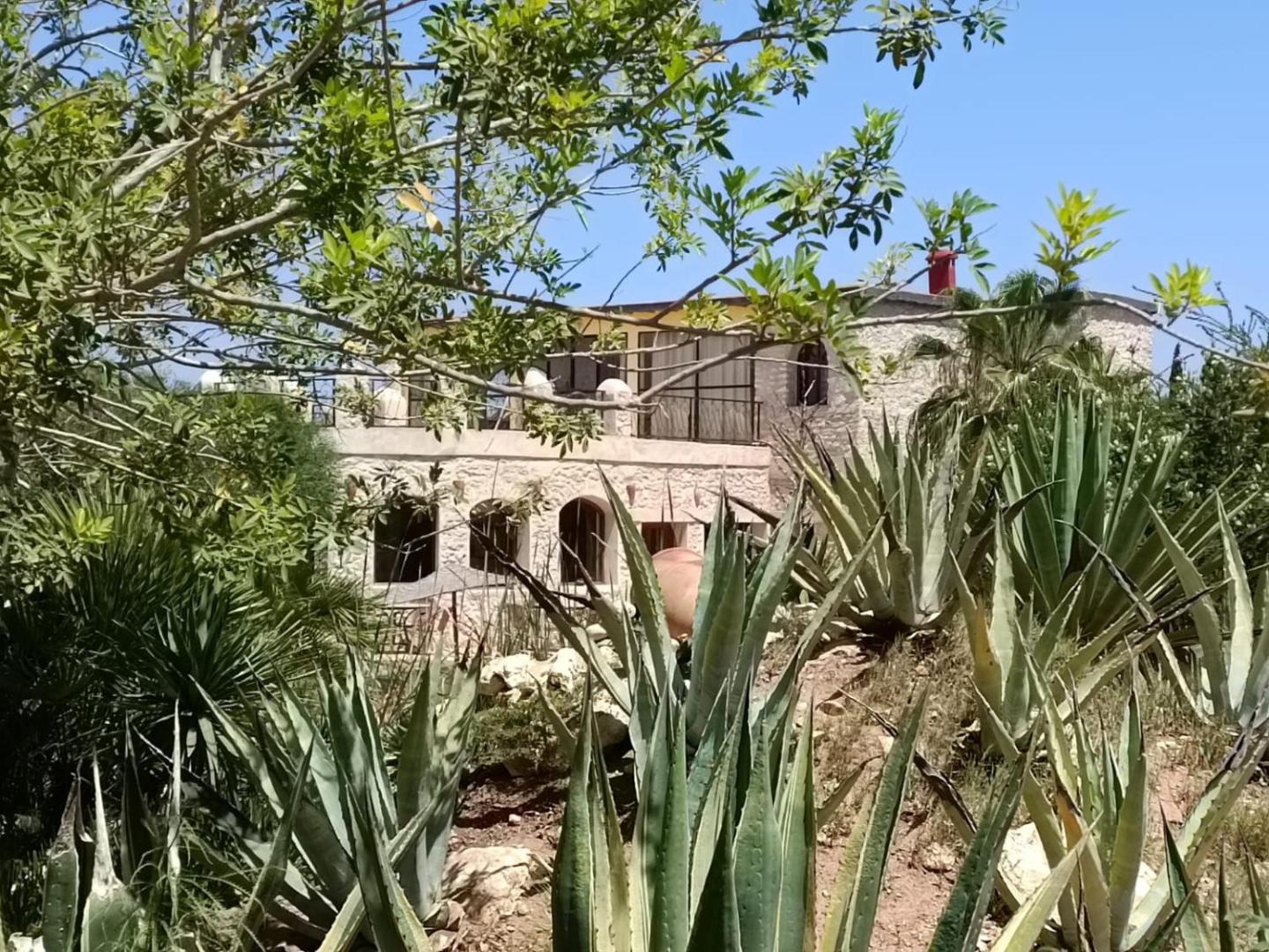 Douar Noujoum