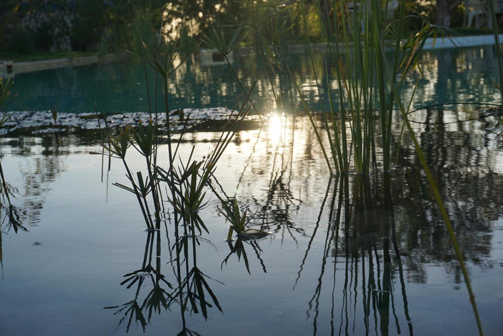 Douar Noujoum