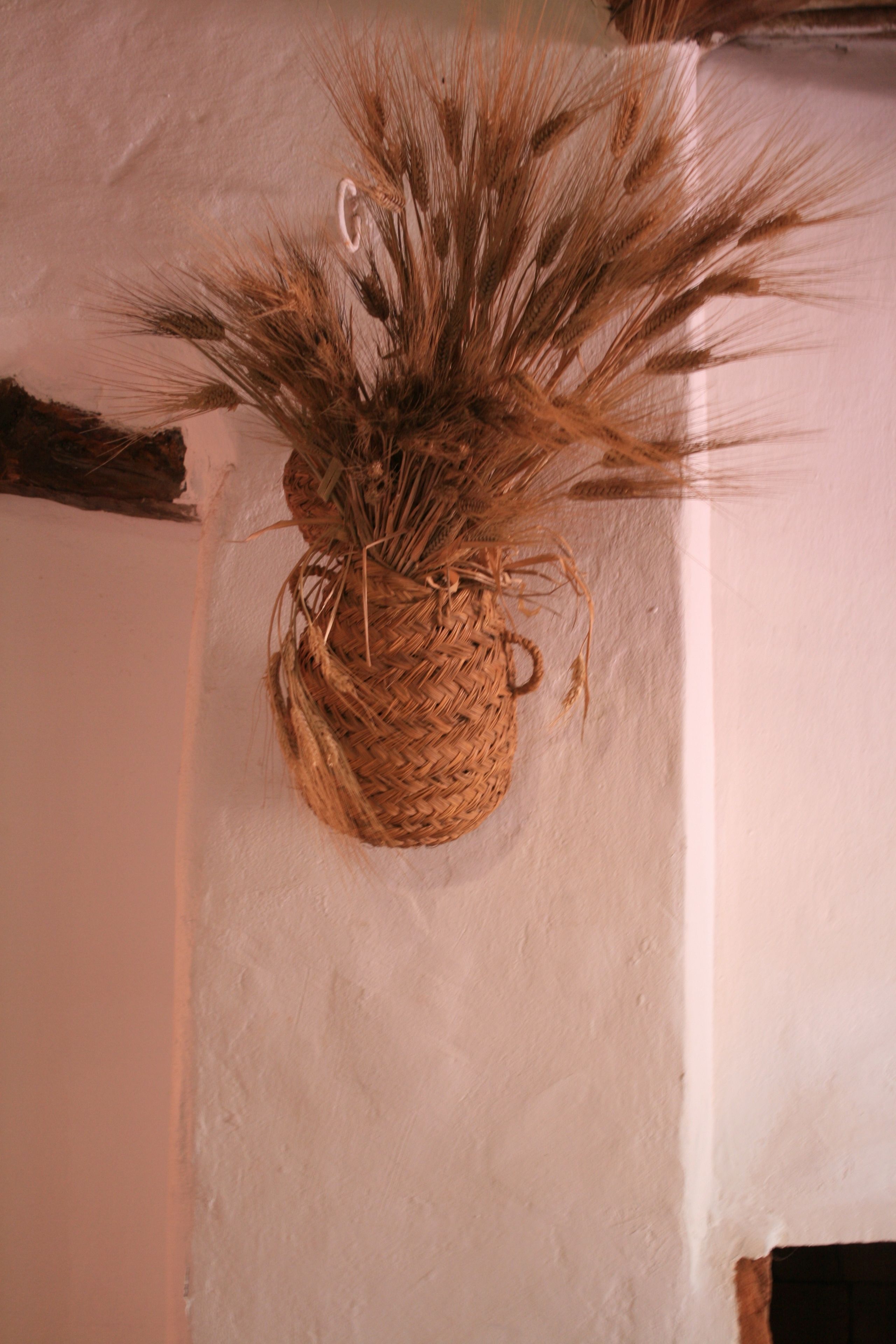 Riad l'Eucalyptus