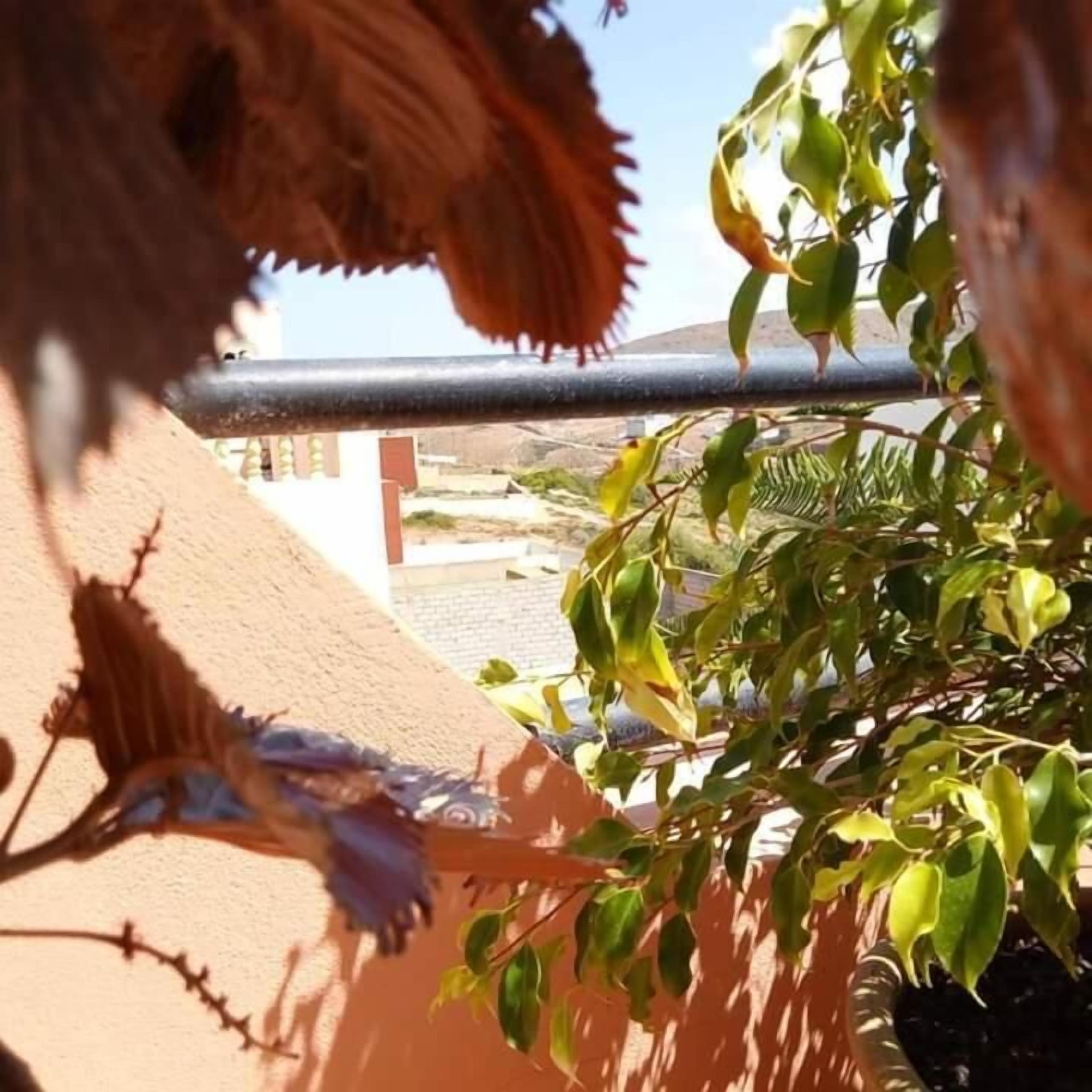 Itrane Guest House
