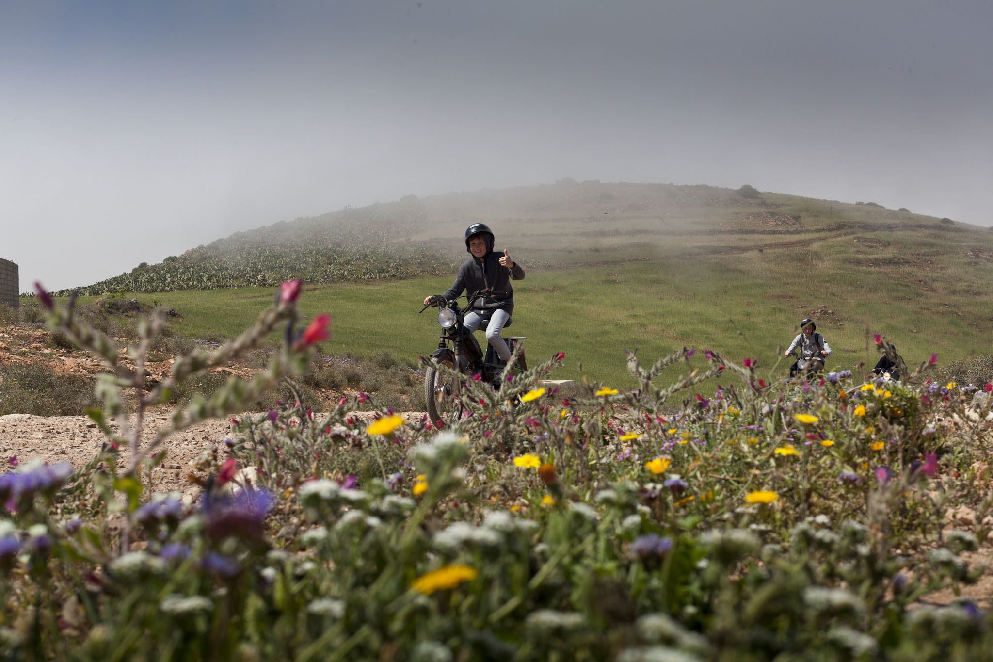 Tifawin Home & Garden