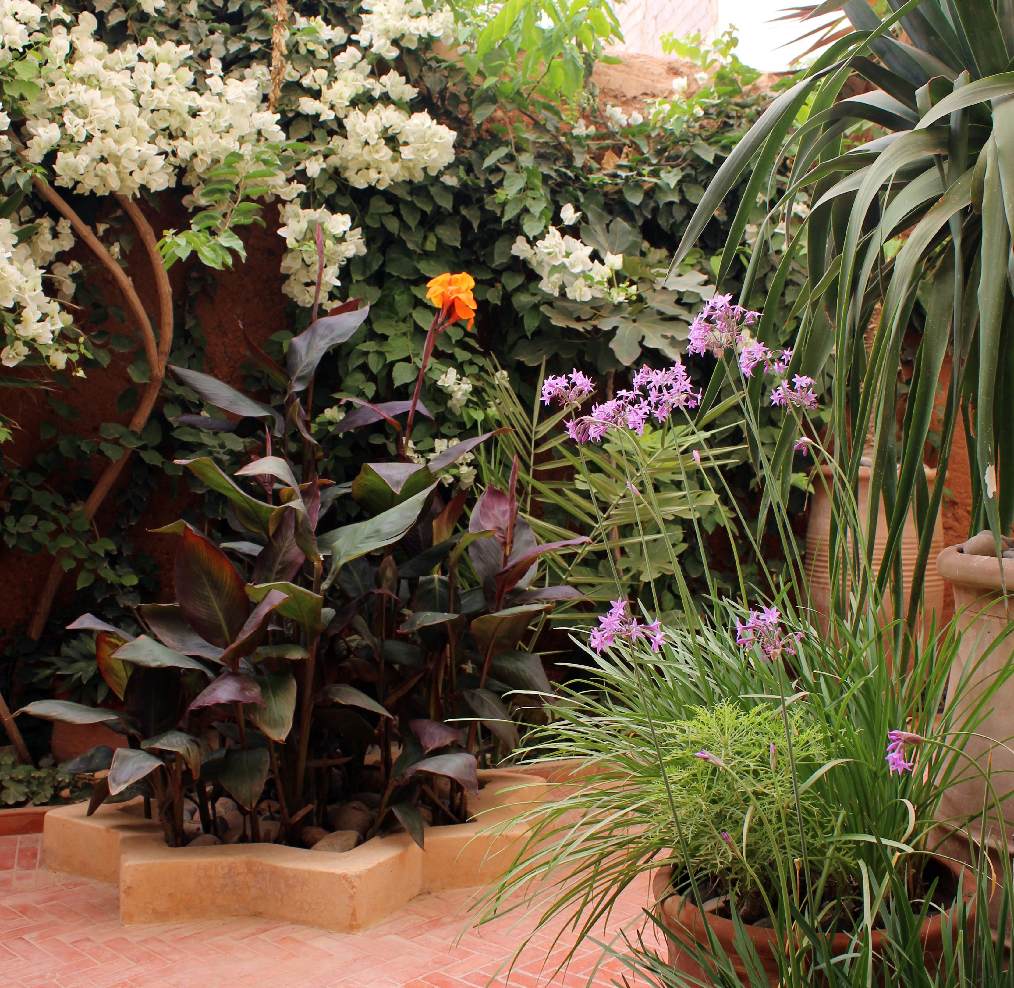 Tifawin Home & Garden