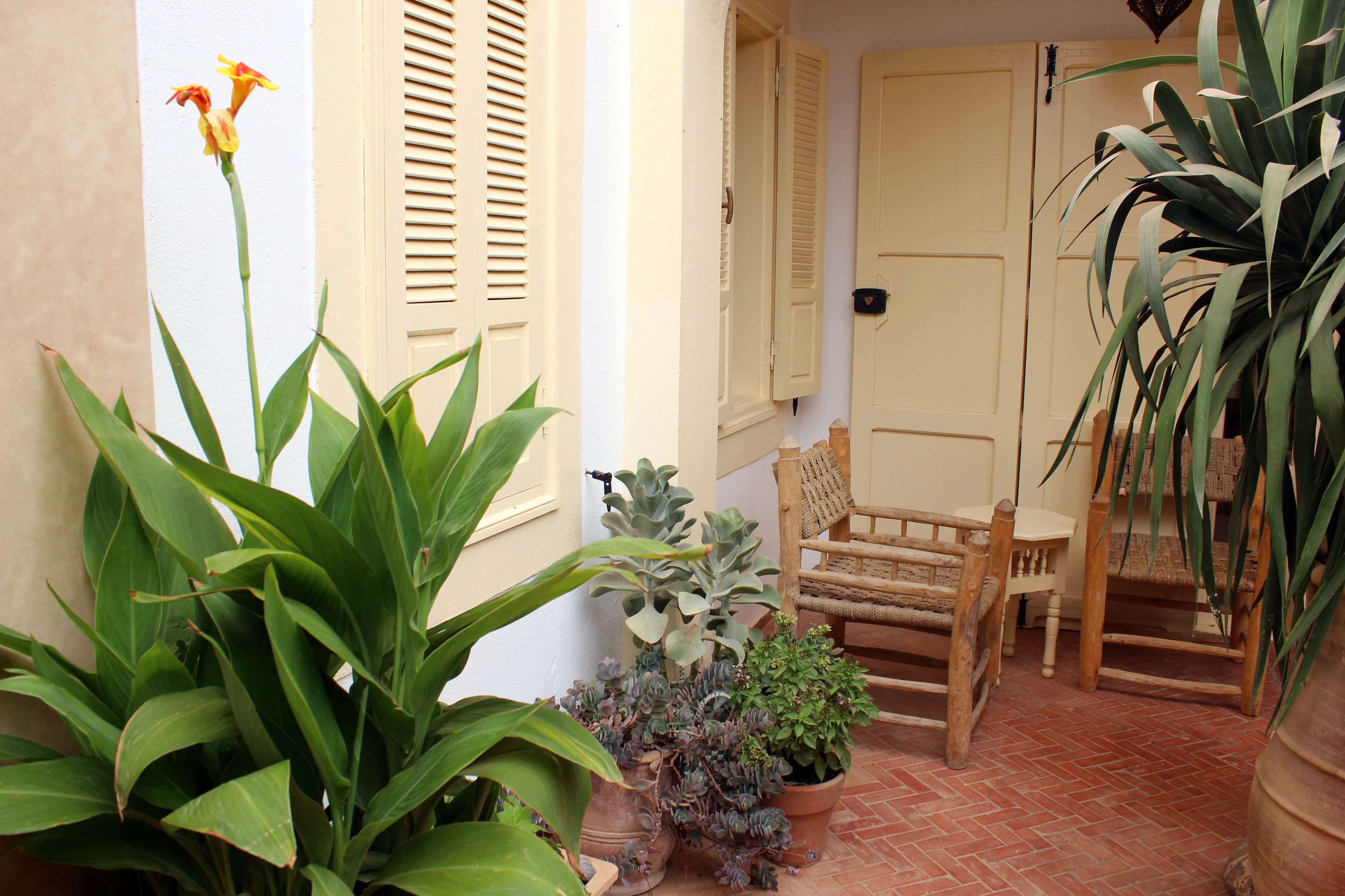 Tifawin Home & Garden