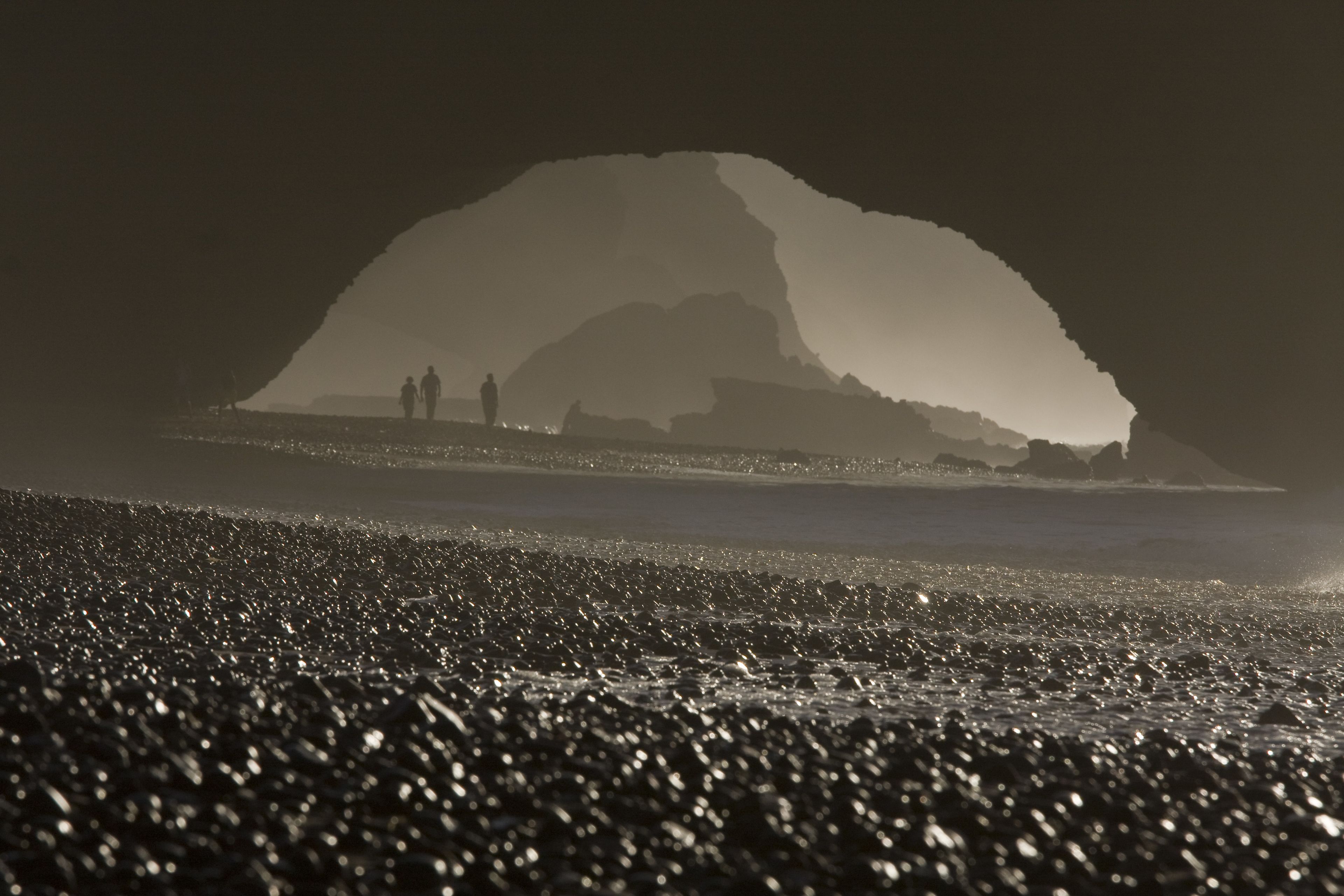 Tifawin Home & Garden