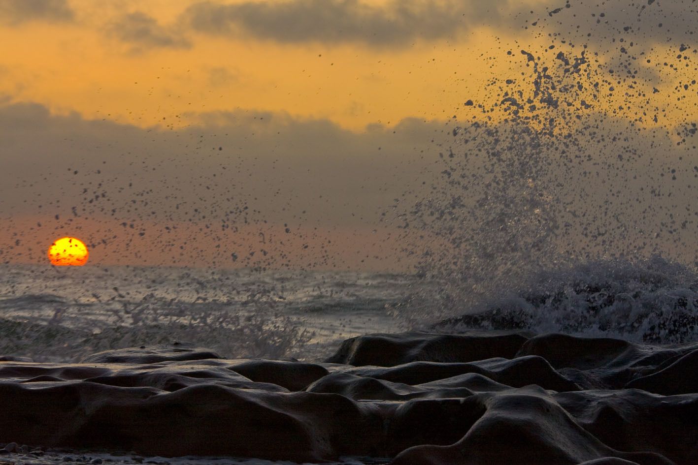 Tifawin Home & Garden