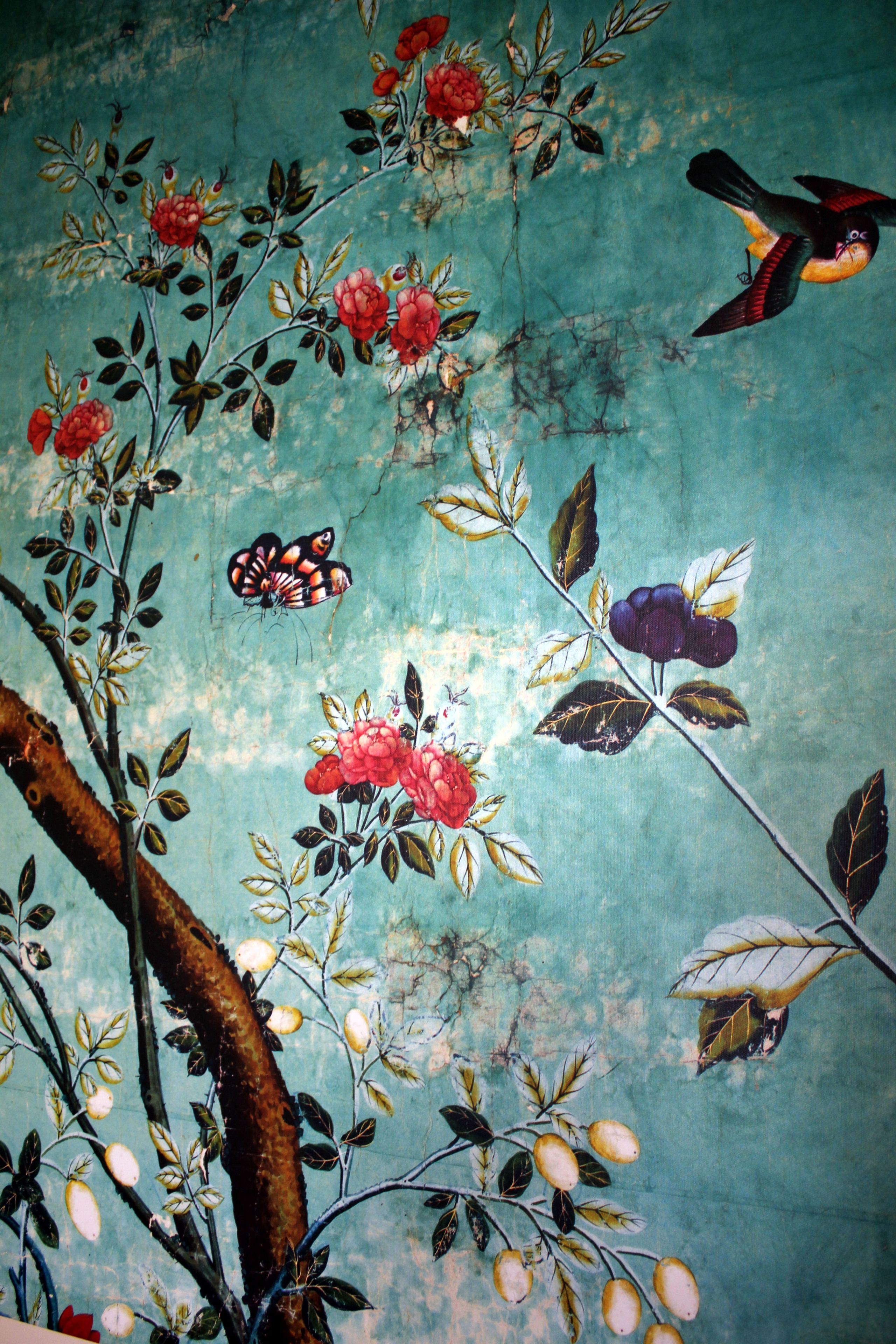 Tifawin Home & Garden