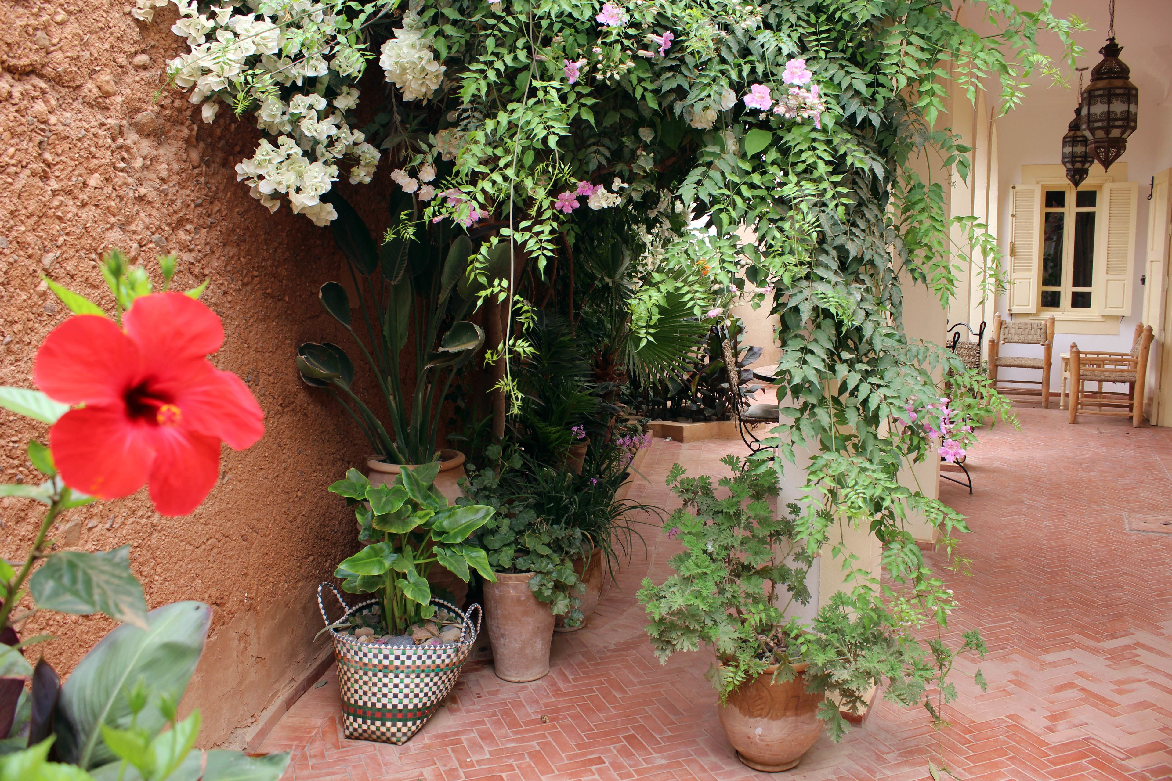 Tifawin Home & Garden