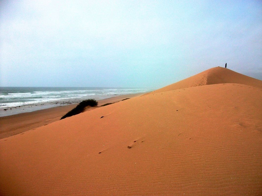 Tifawin Home & Garden