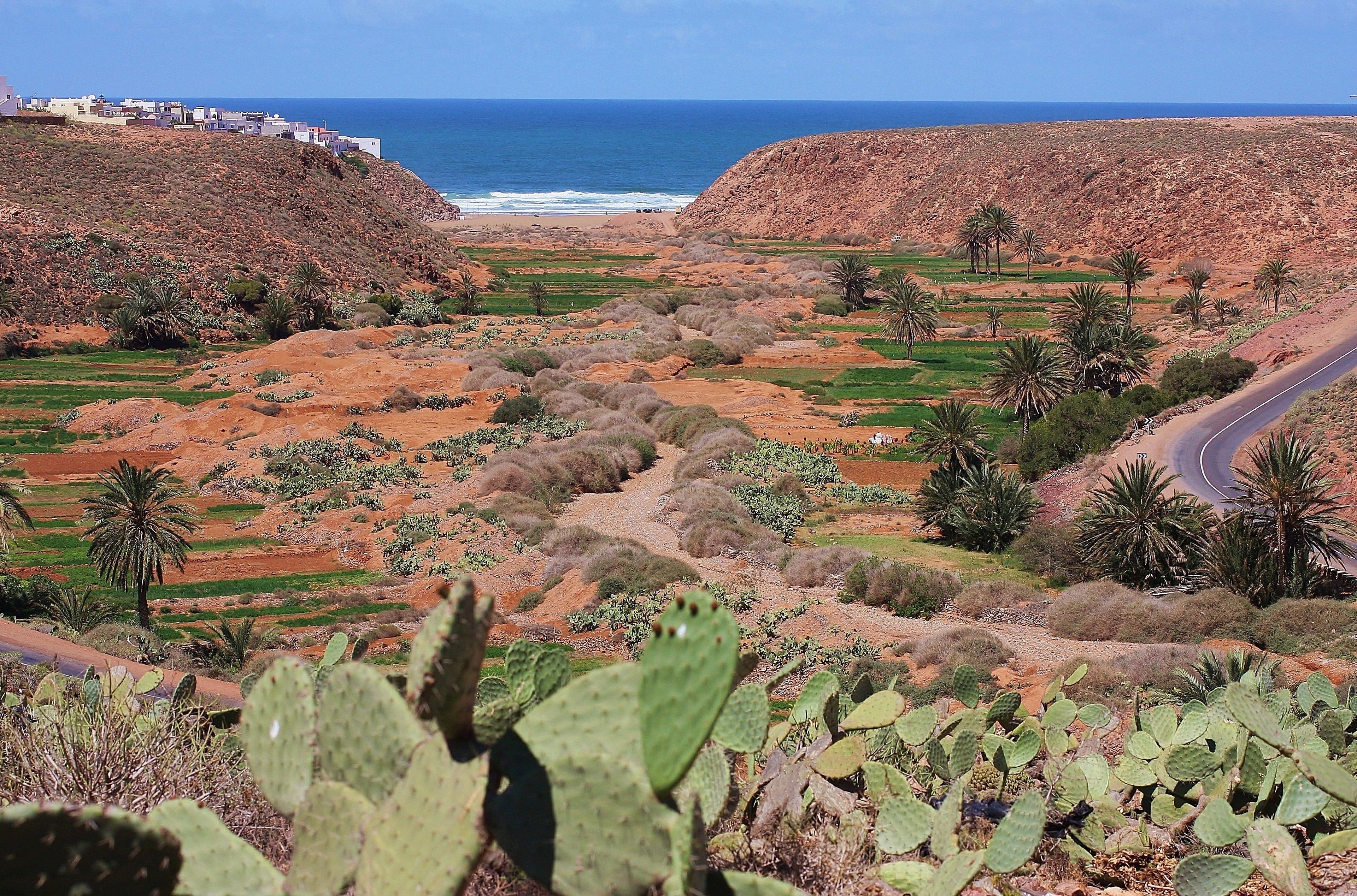 Tifawin Home & Garden