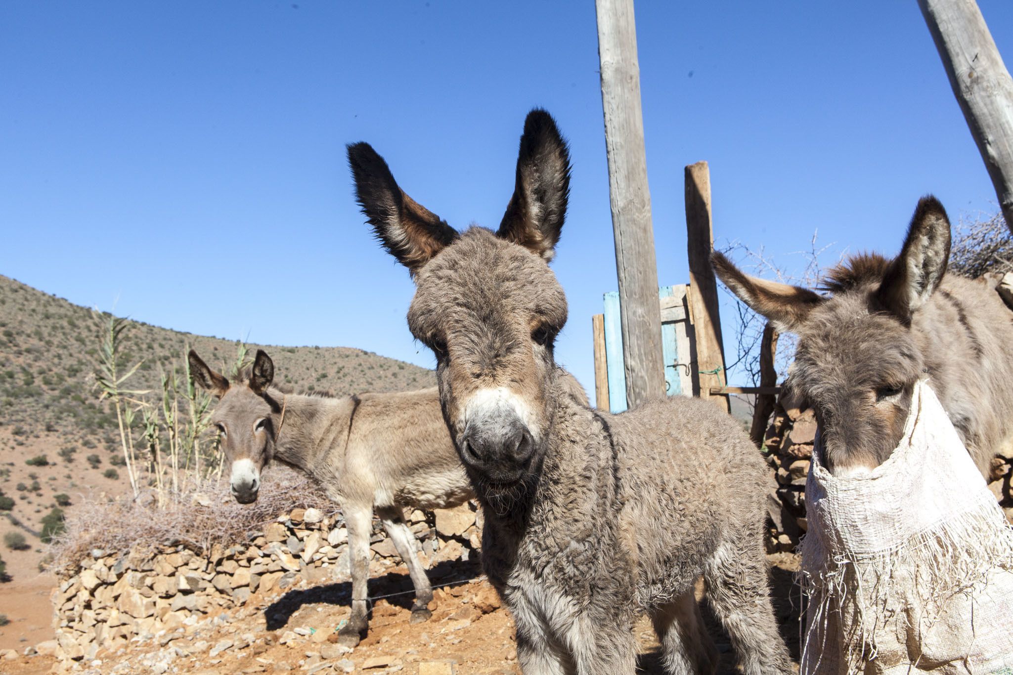 Tifawin Home & Garden