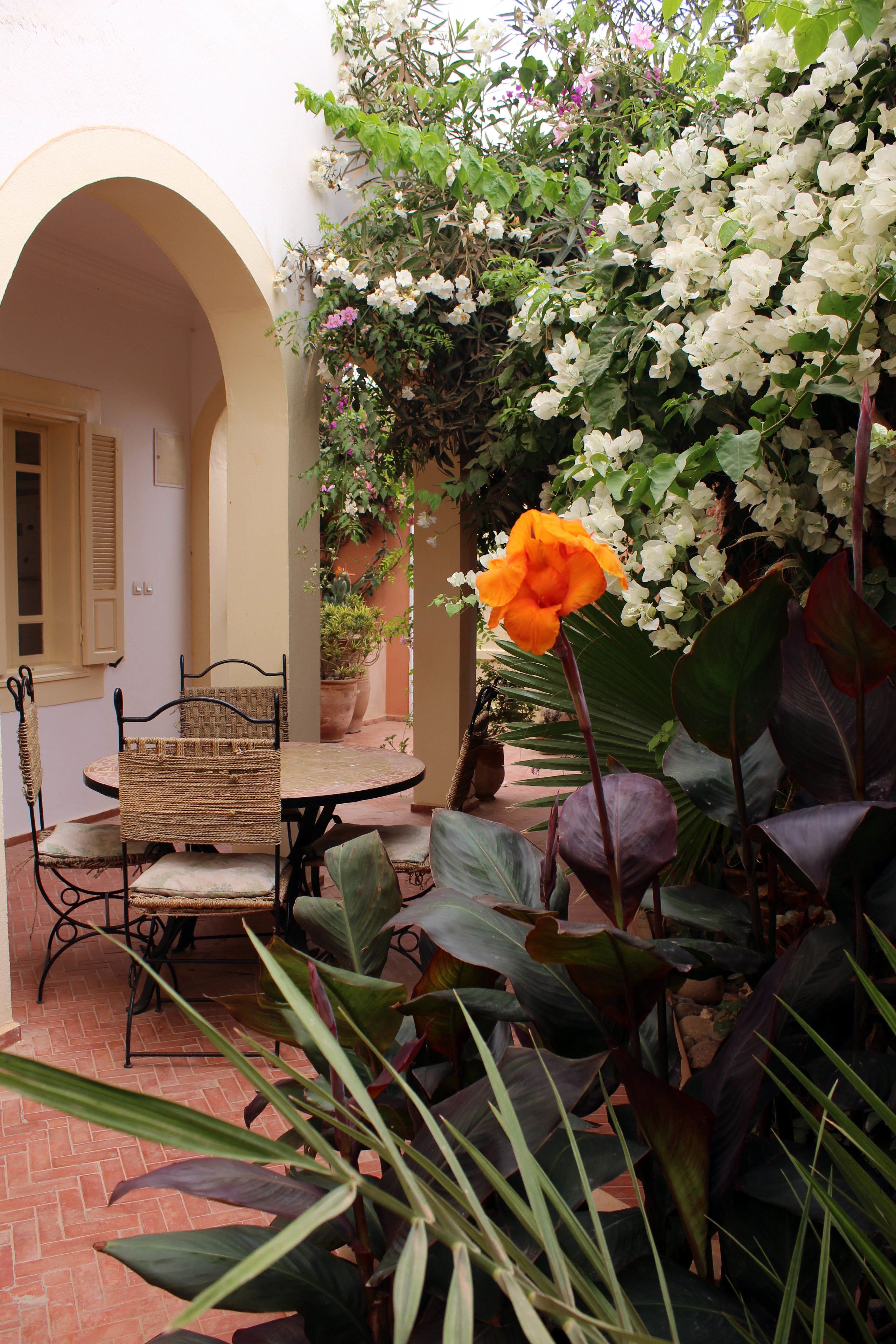 Tifawin Home & Garden