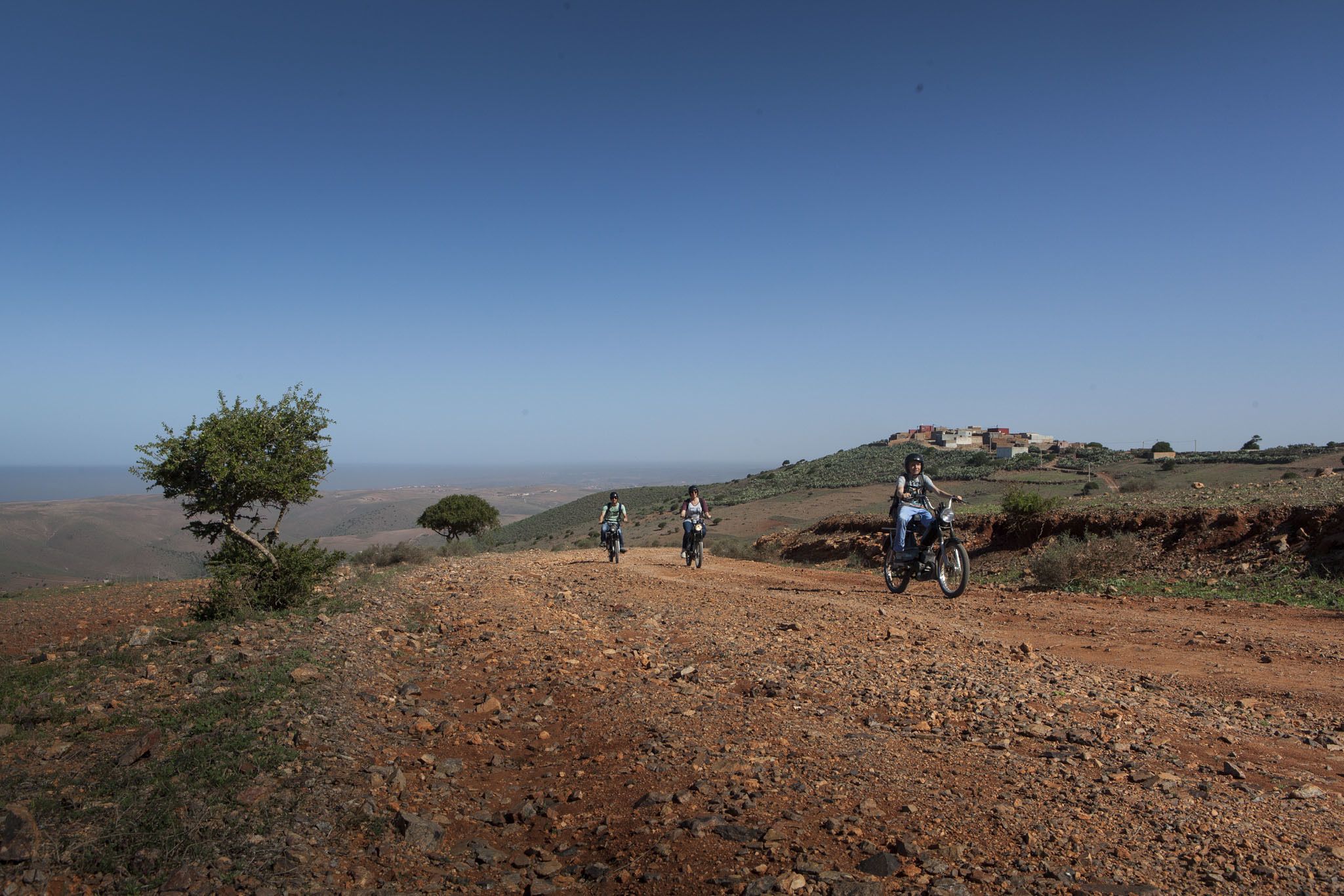 Tifawin Home & Garden