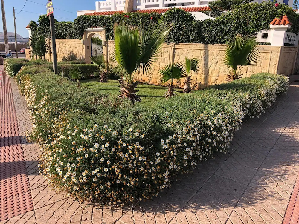 Villa Kamil